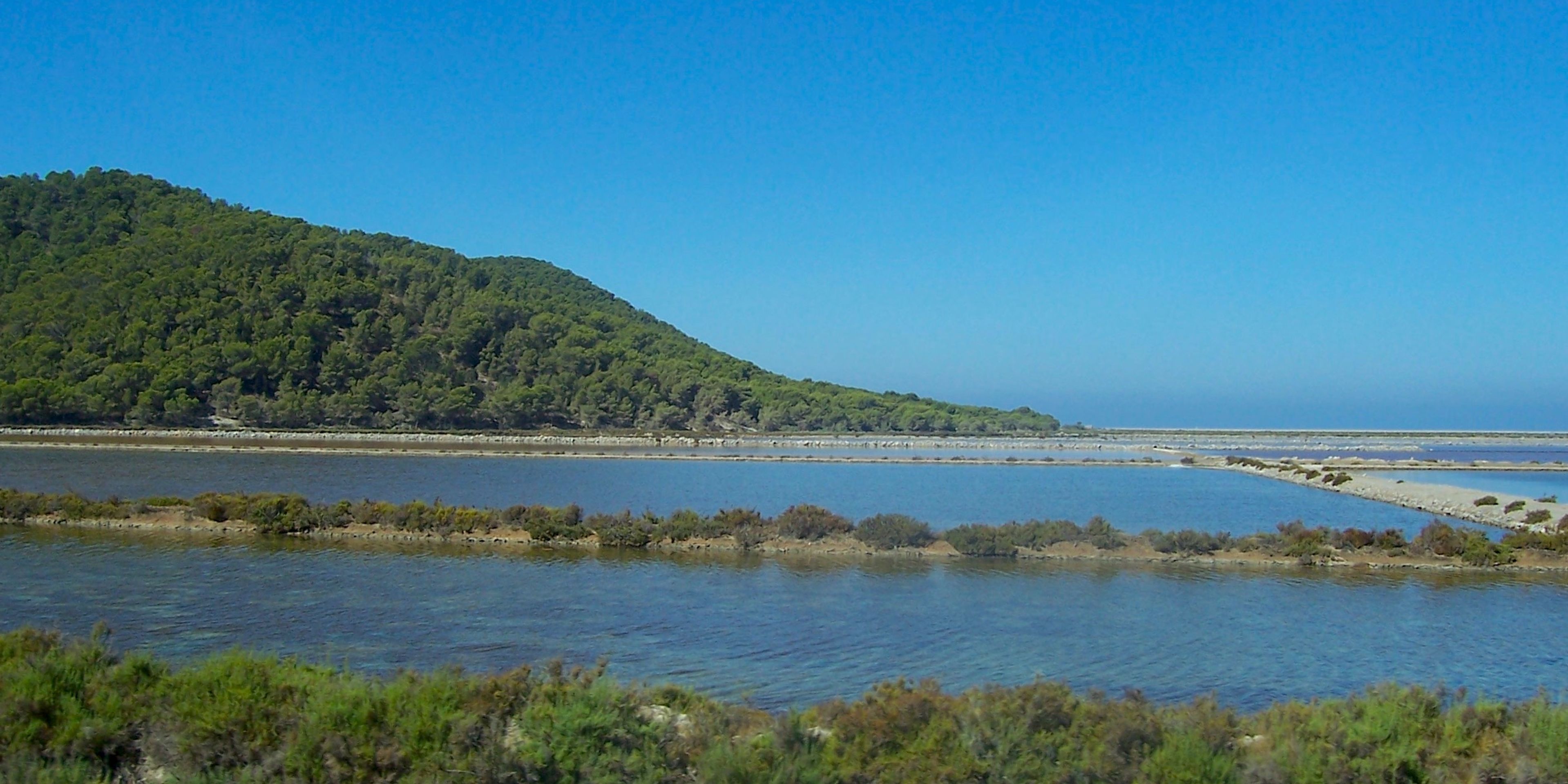 Hotels near Ses Salines Natural Park