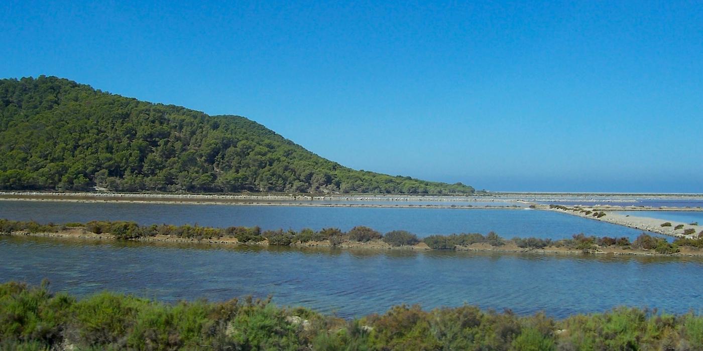 Hotels near Ses Salines Natural Park