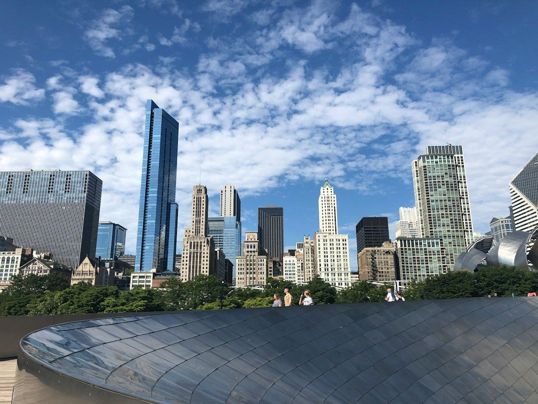 Millennium Park and the Lurie Garden - Grasses at Their Peak