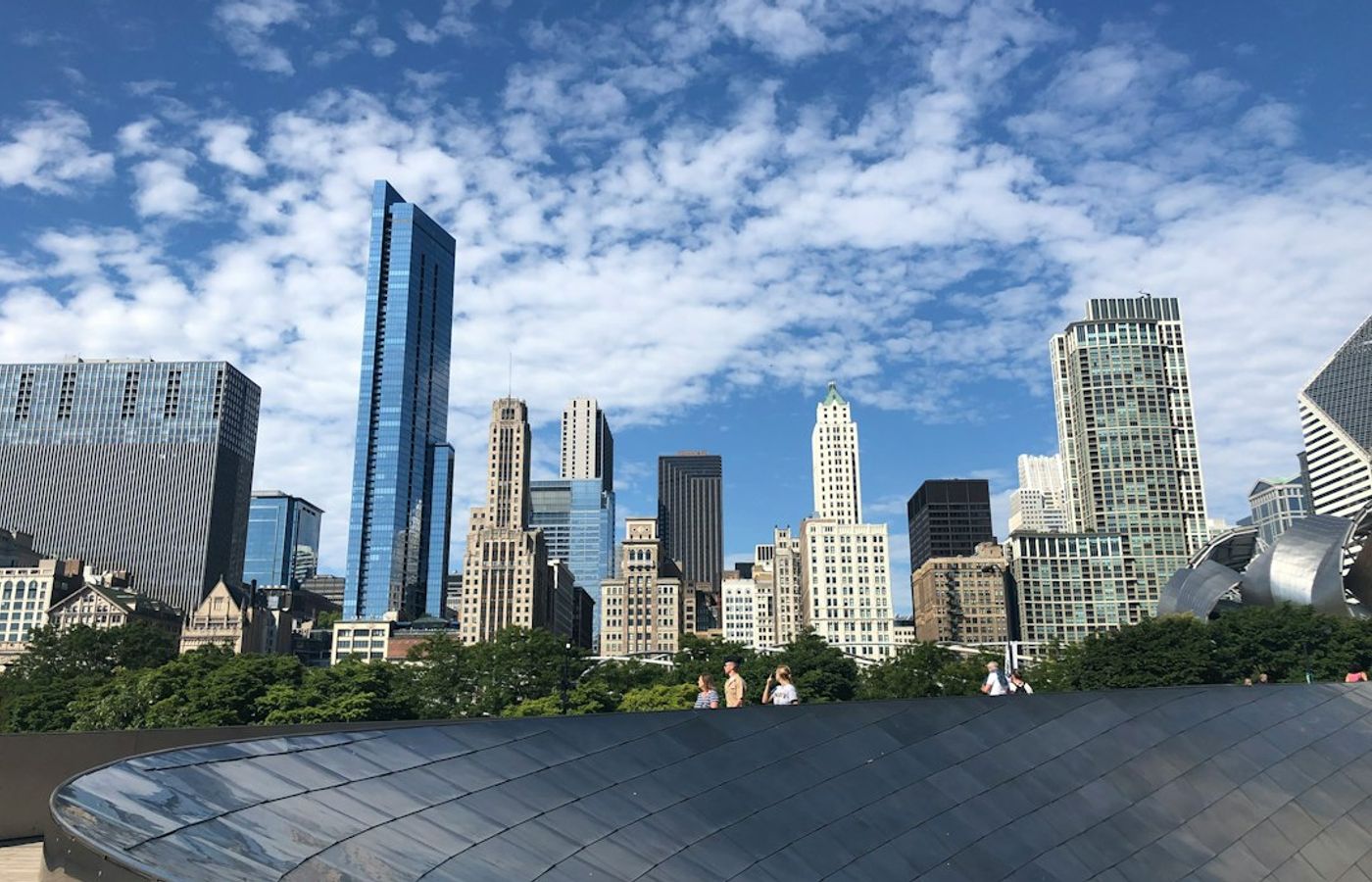Millennium Park and the Lurie Garden - Grasses at Their Peak