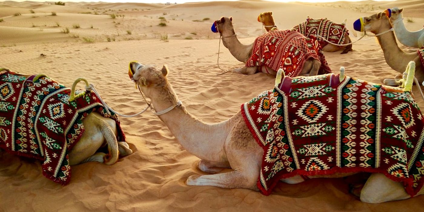 Hotels near Dubai Desert Safari