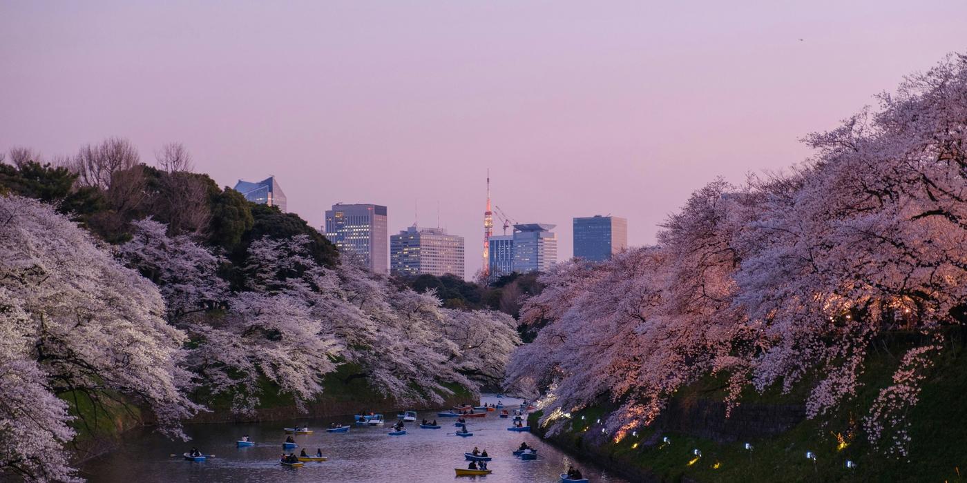 Japan Travel Guides