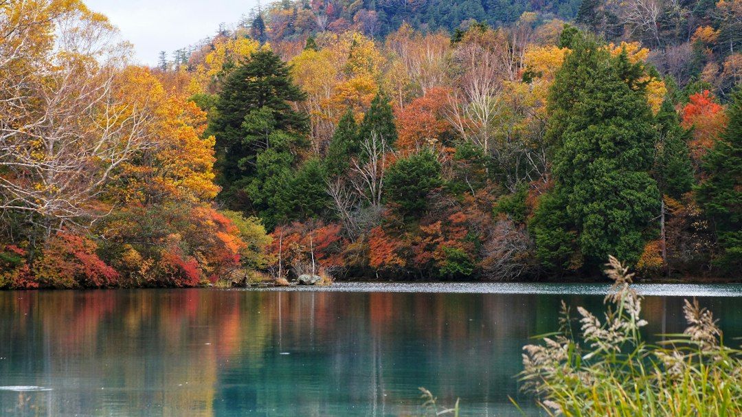 Nikko - Autumn Leaves at Lake Chuzenji and Irohazaka