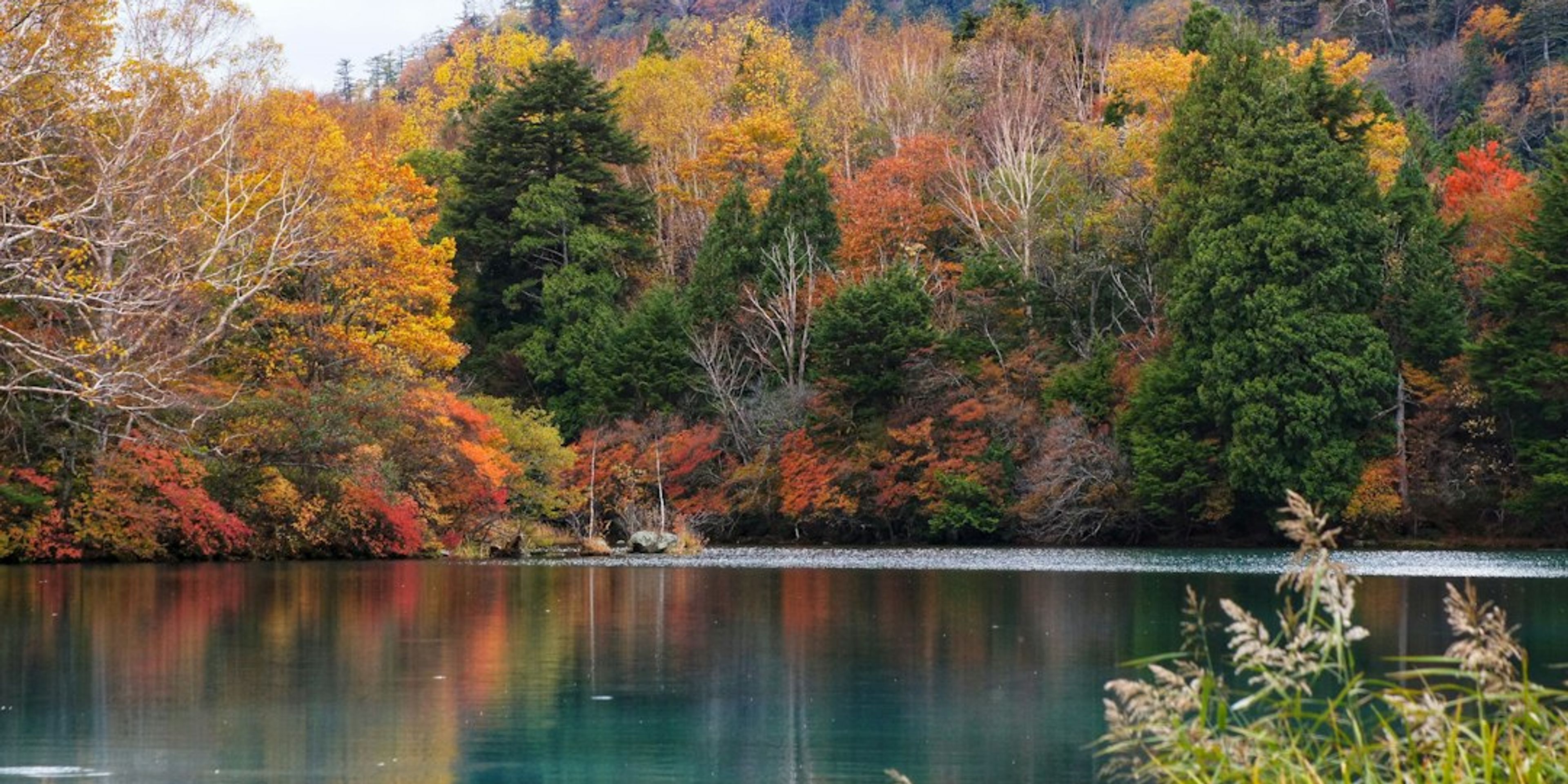 Hotels near Nikko