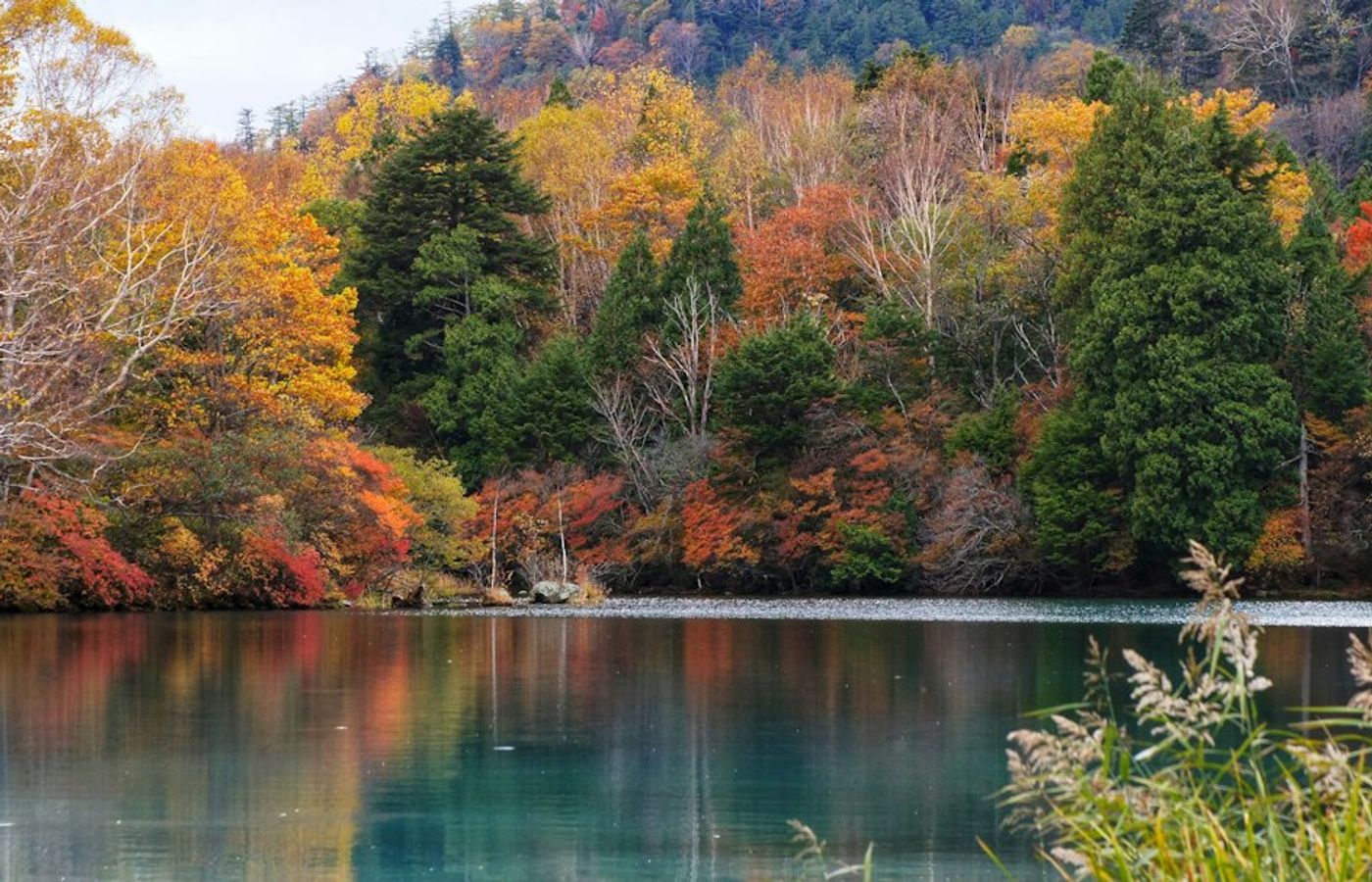 Nikko - Autumn Leaves at Lake Chuzenji and Irohazaka