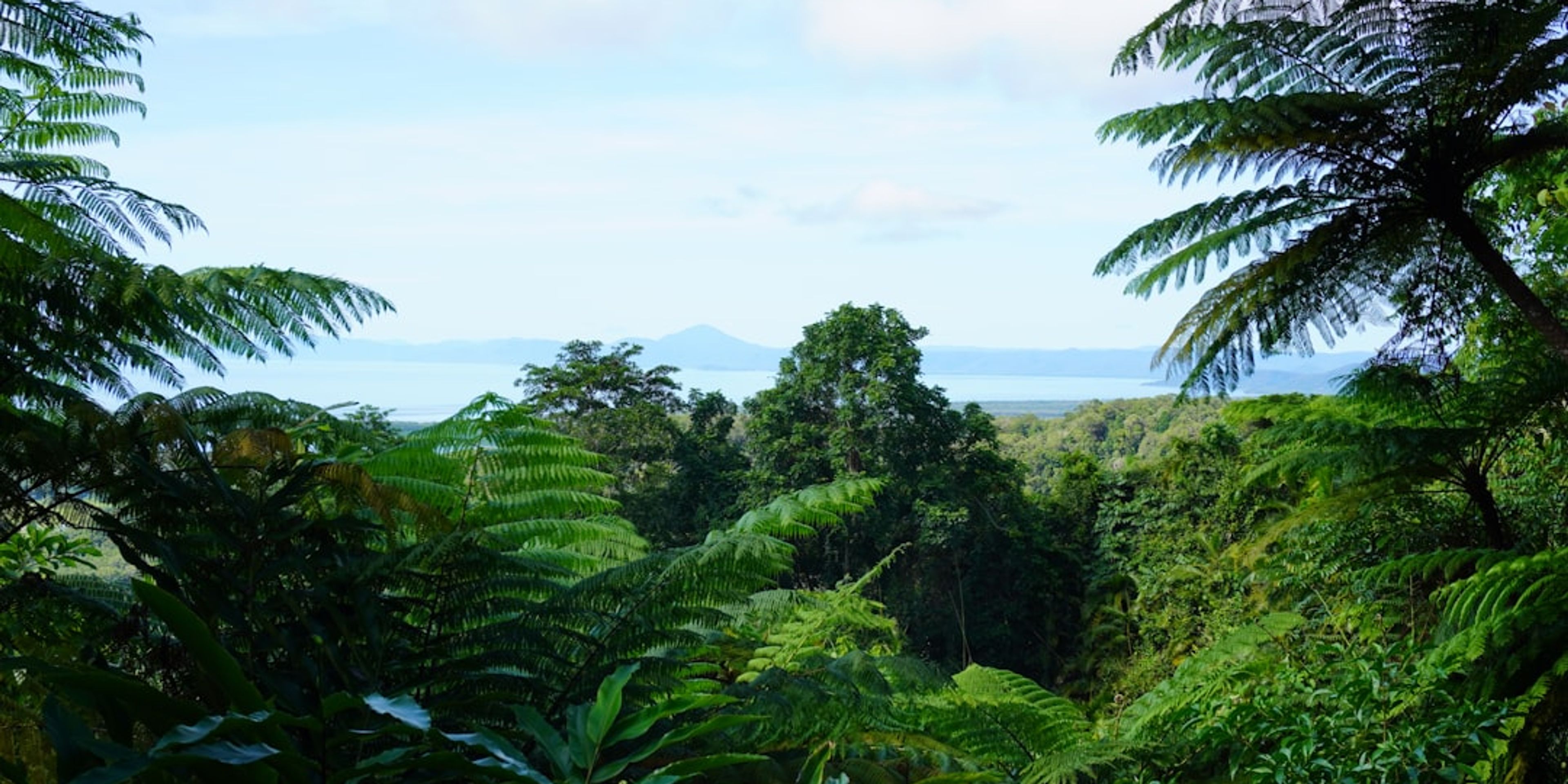 Hotels near Daintree Rainforest