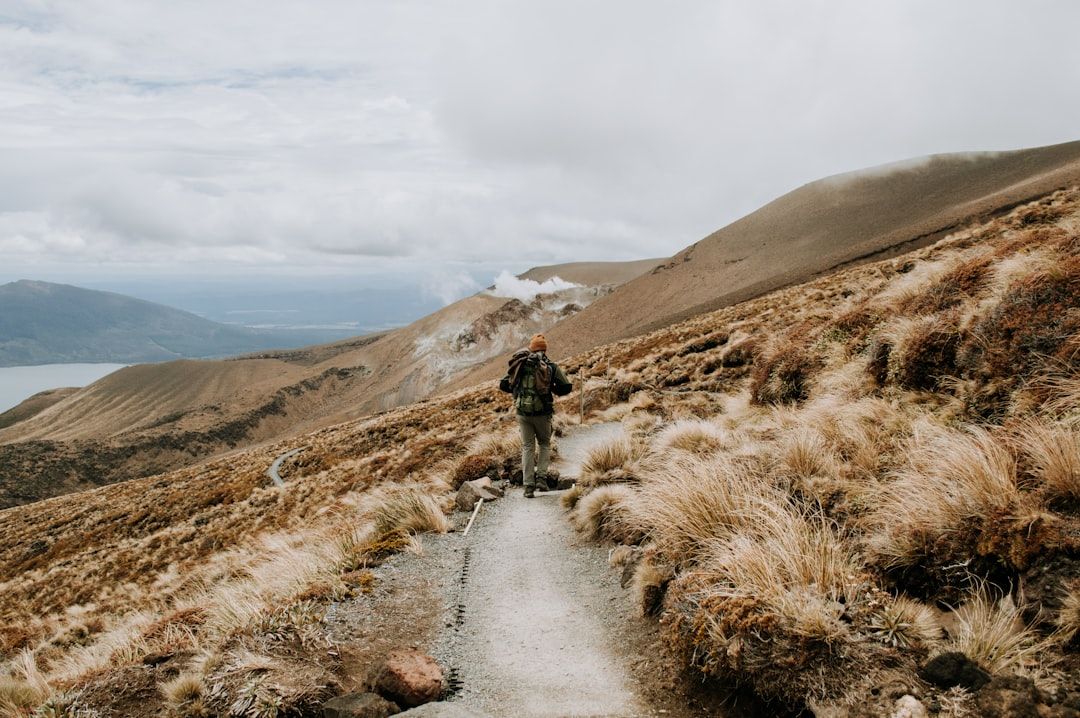 Tongariro Alpine Crossing - New Zealand's Benchmark Volcanic Day Hike