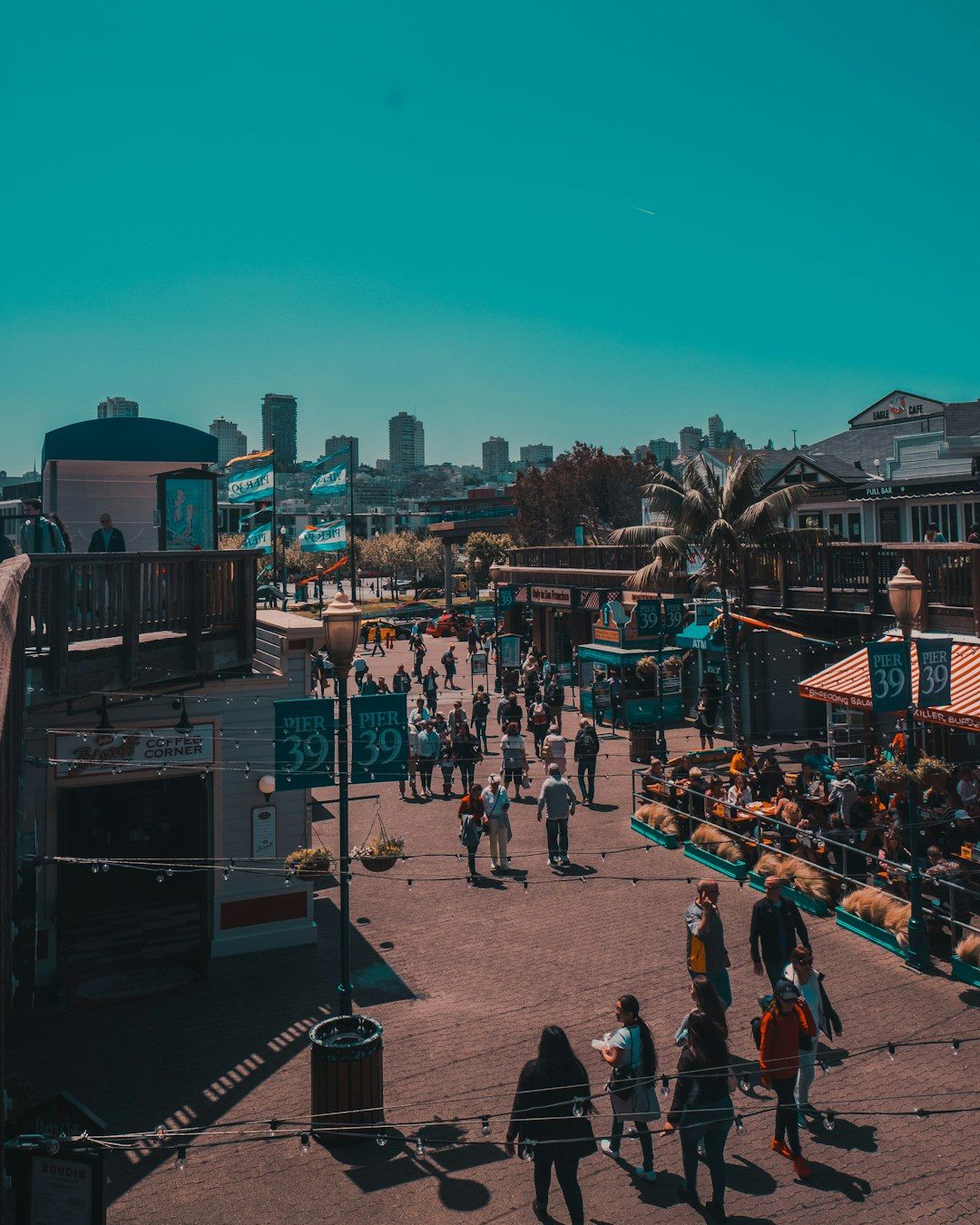 Fisherman's Wharf and Pier 39 - Sea Lions and Sourdough