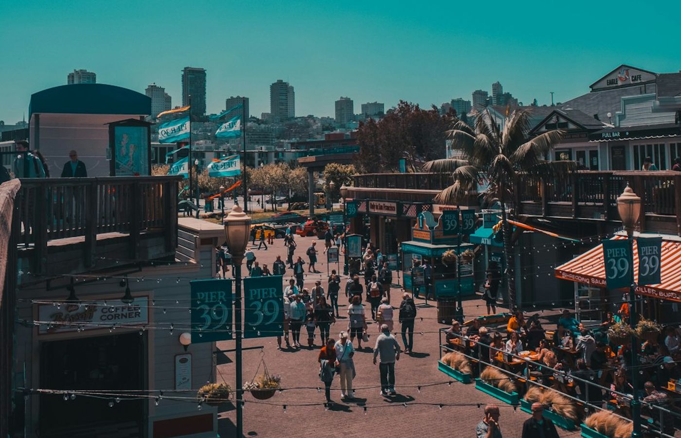 Fisherman's Wharf and Pier 39 - Sea Lions and Sourdough