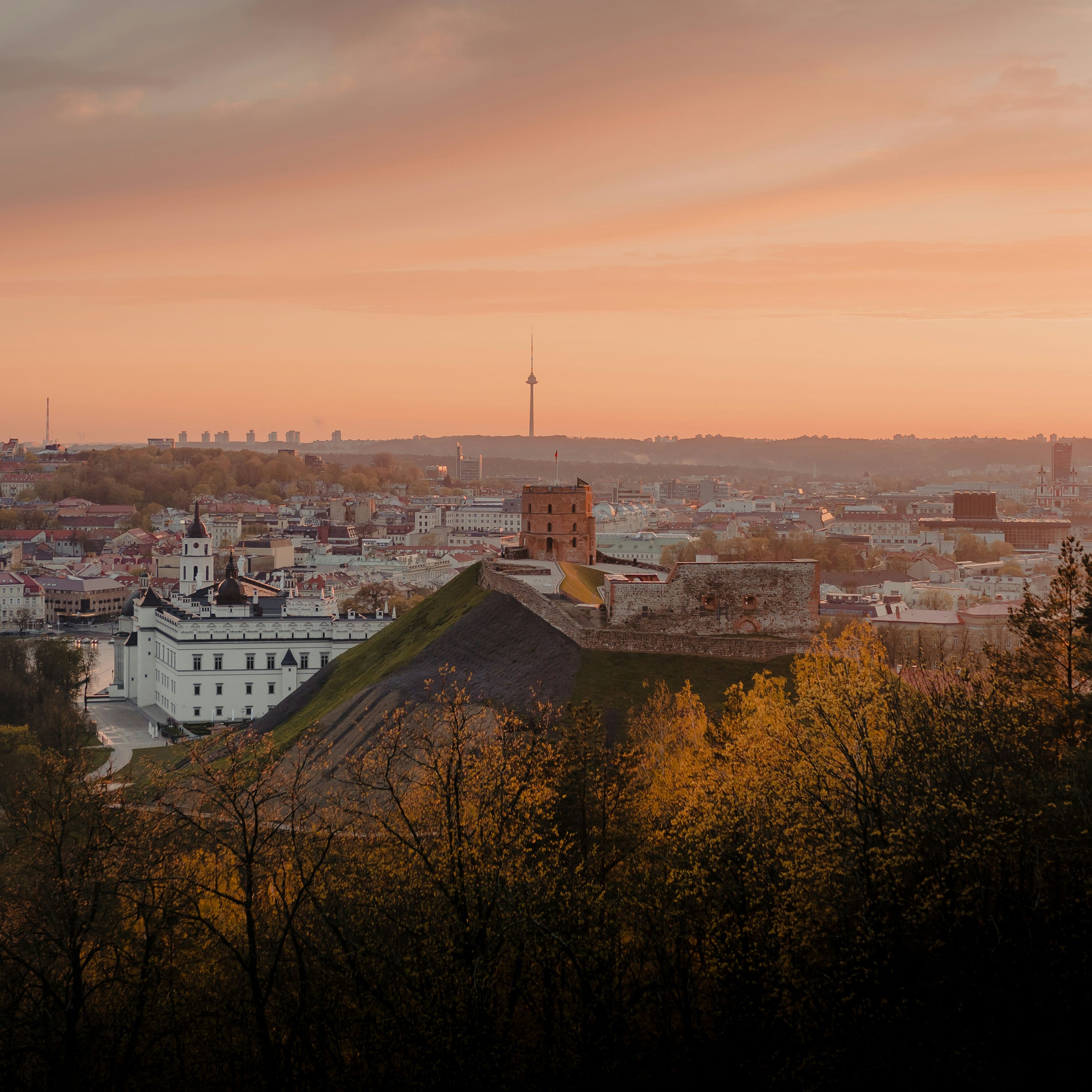Vilnius