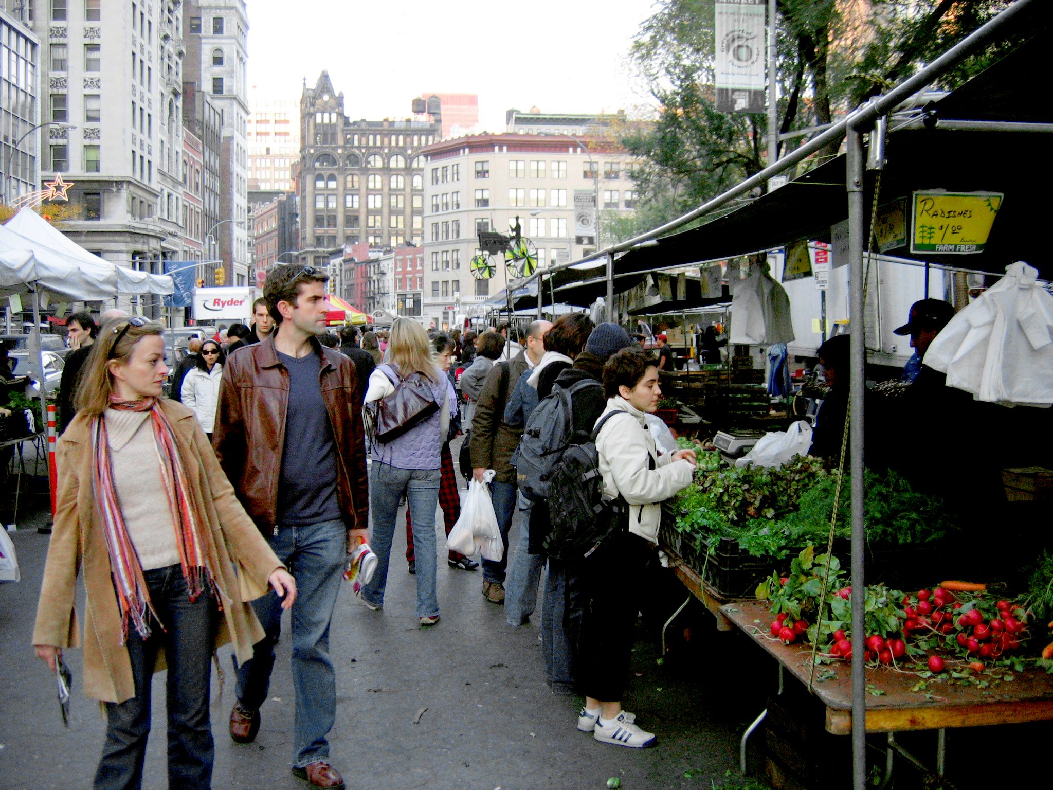 Union Square Greenmarket - Peak Harvest Season