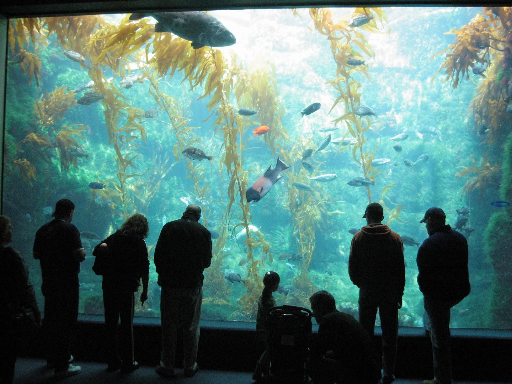 Birch Aquarium at Scripps - Ocean Science Above La Jolla Shores