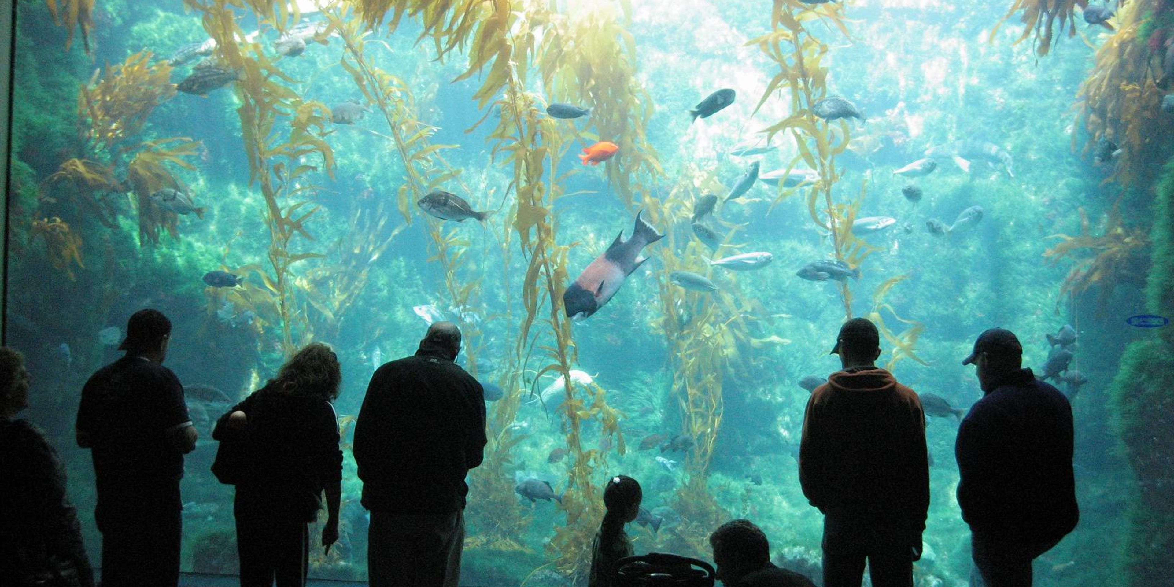 Hotels near Birch Aquarium at Scripps