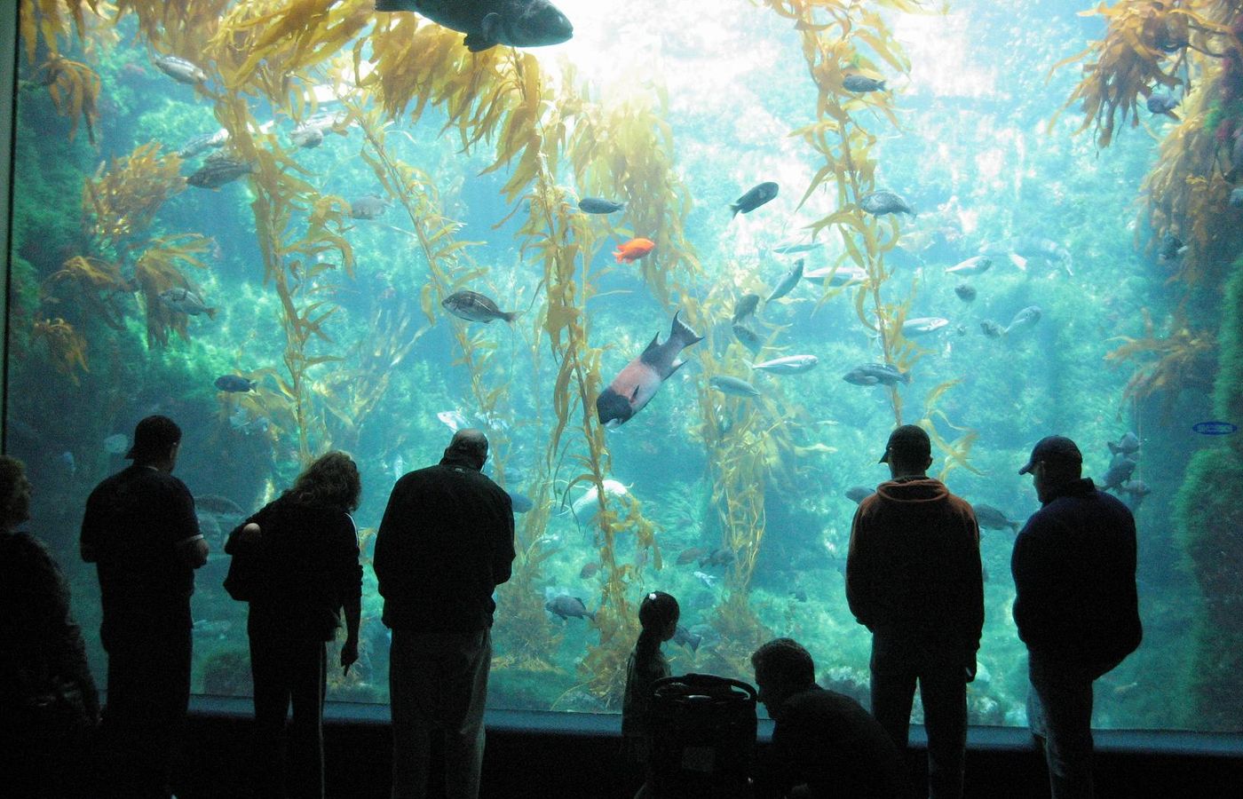 Birch Aquarium at Scripps - Ocean Science Above La Jolla Shores