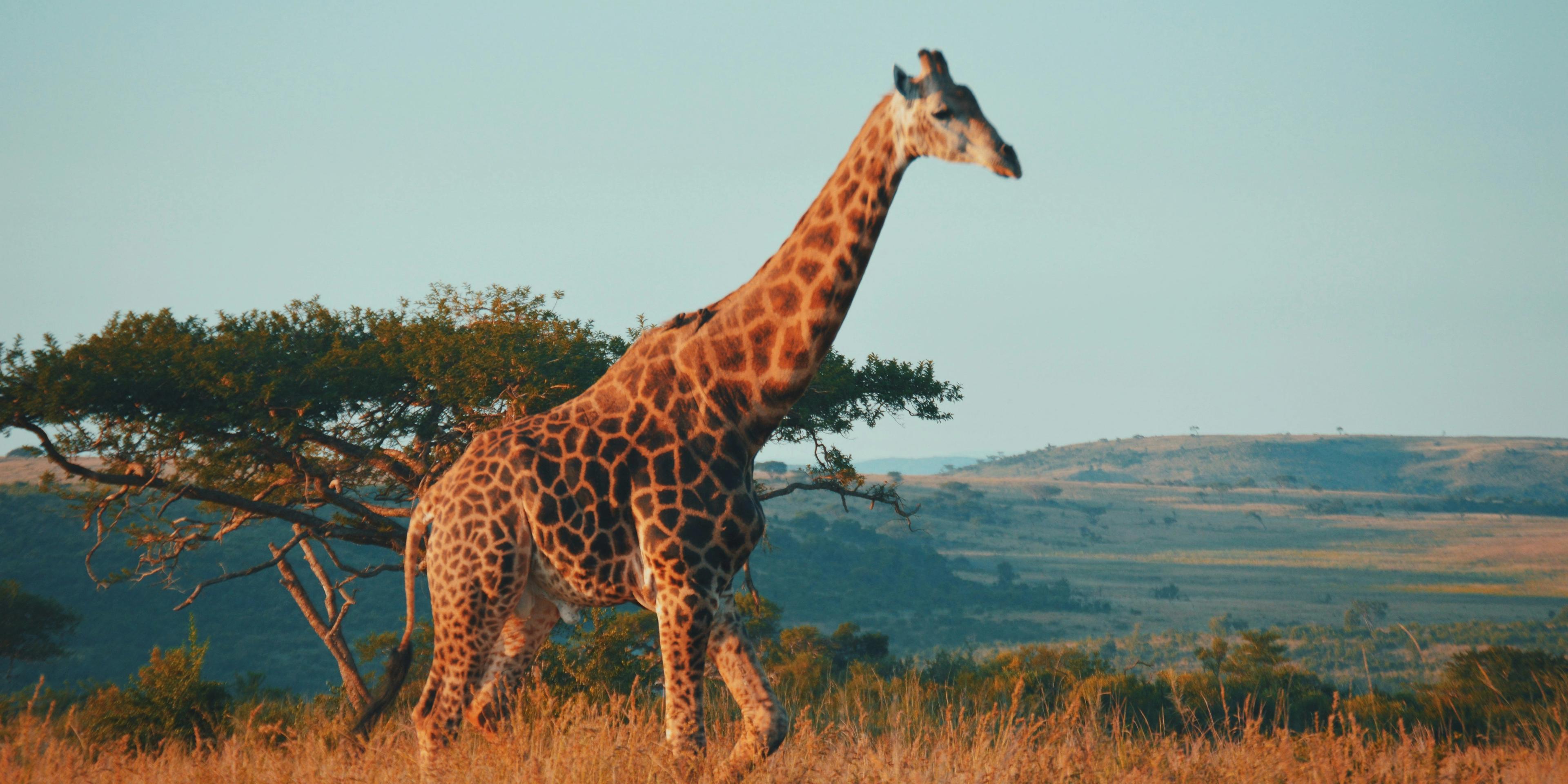 South Africa Featured Hotels