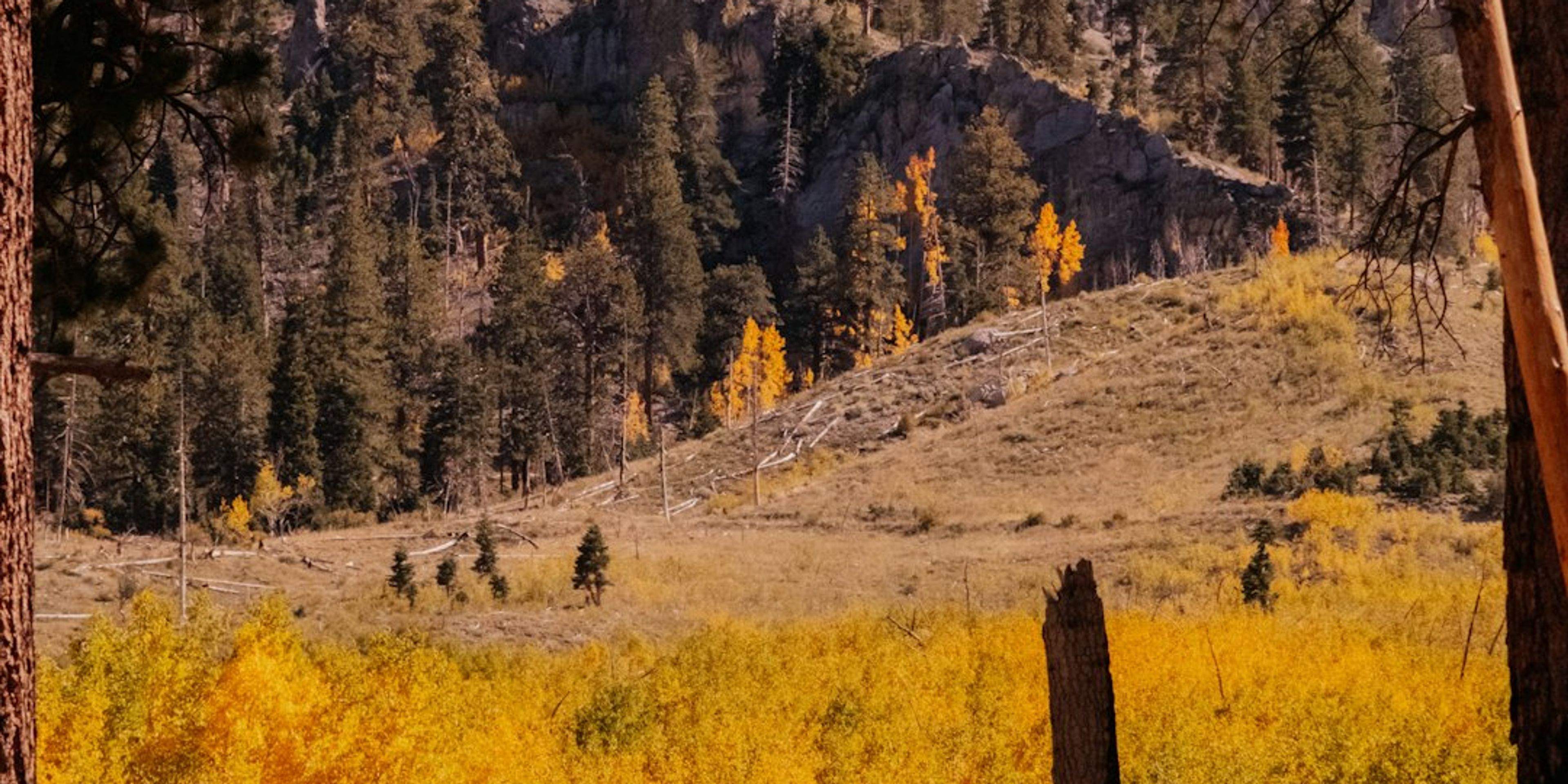 Hotels near Mount Charleston