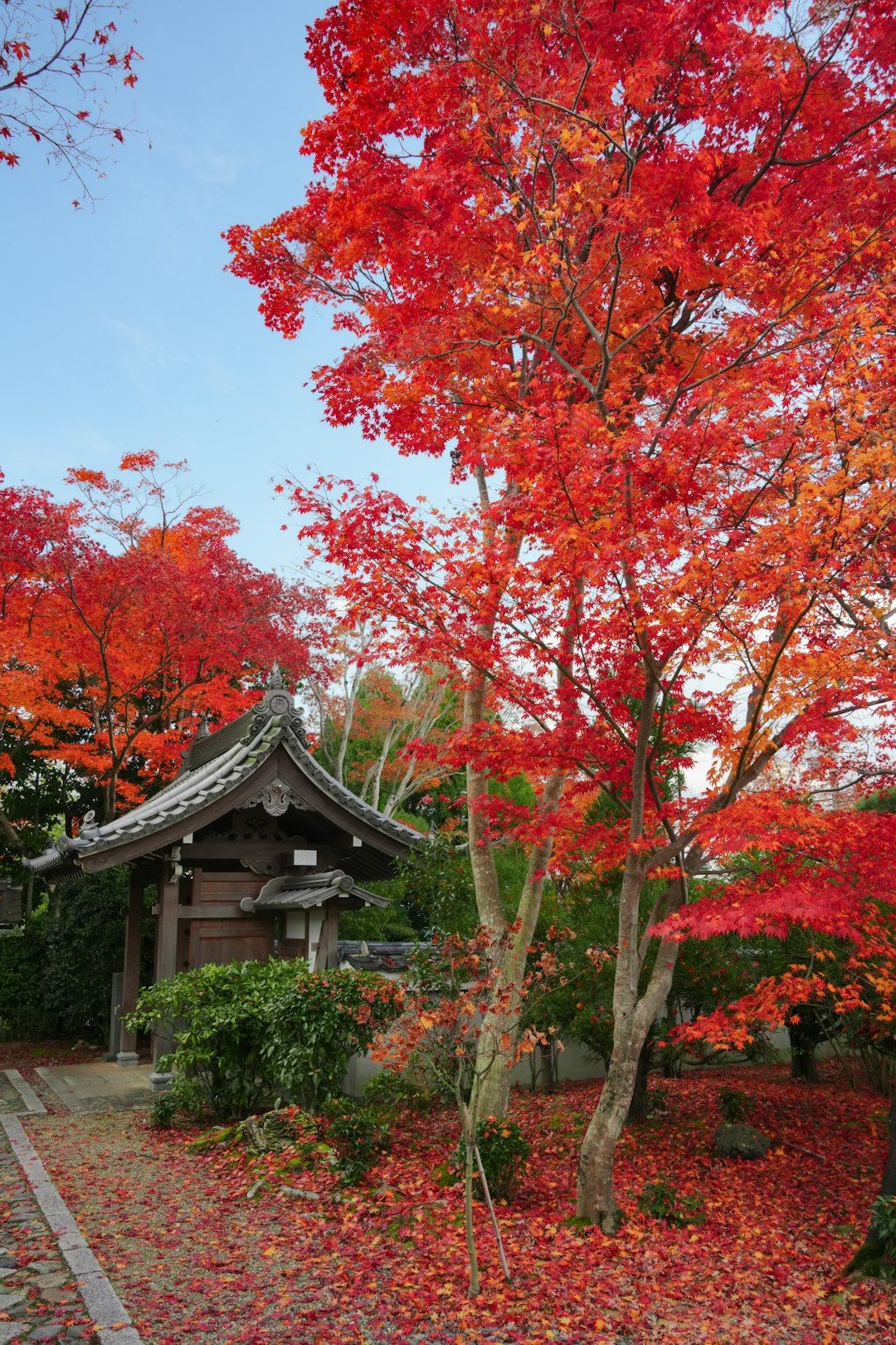 Hotels near Tofuku-ji