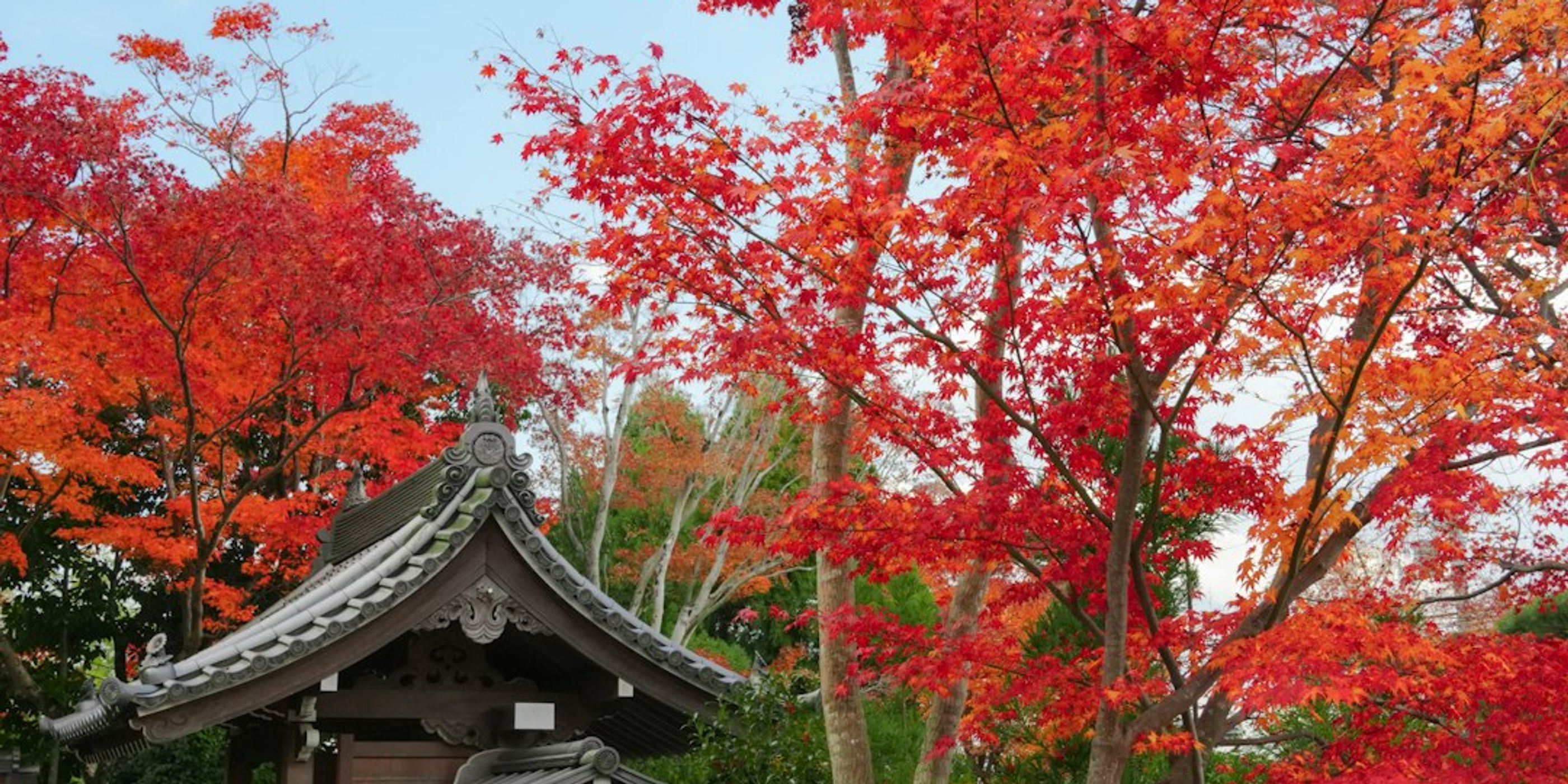 Hotels near Tofuku-ji