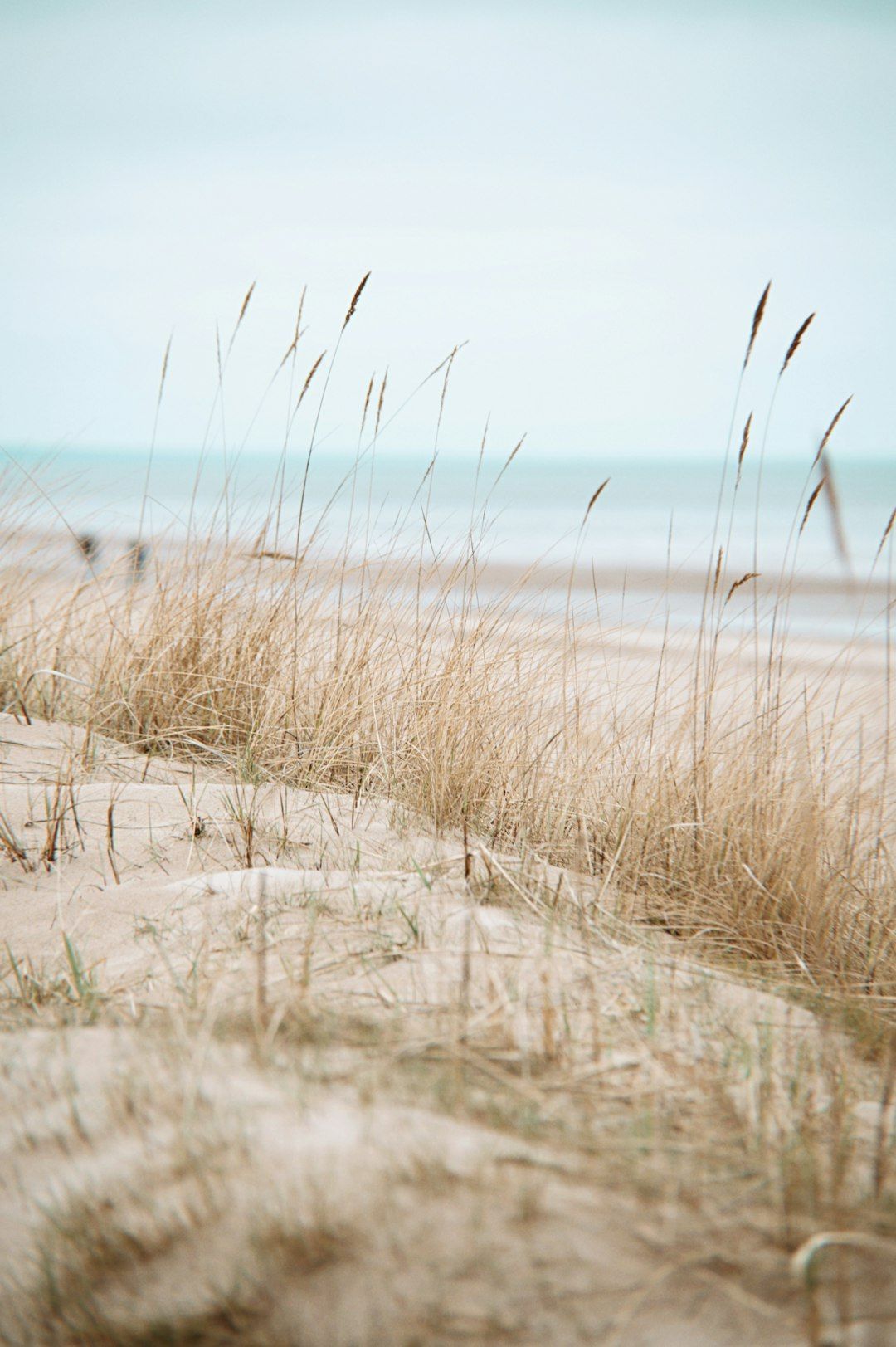 Jurmala or Sigulda Day Trip - The Beach or the Forest