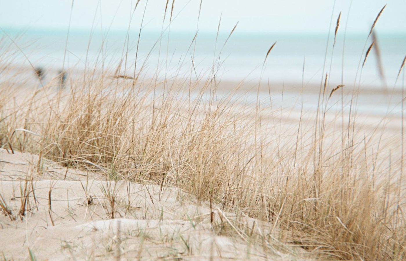 Jurmala or Sigulda Day Trip - The Beach or the Forest