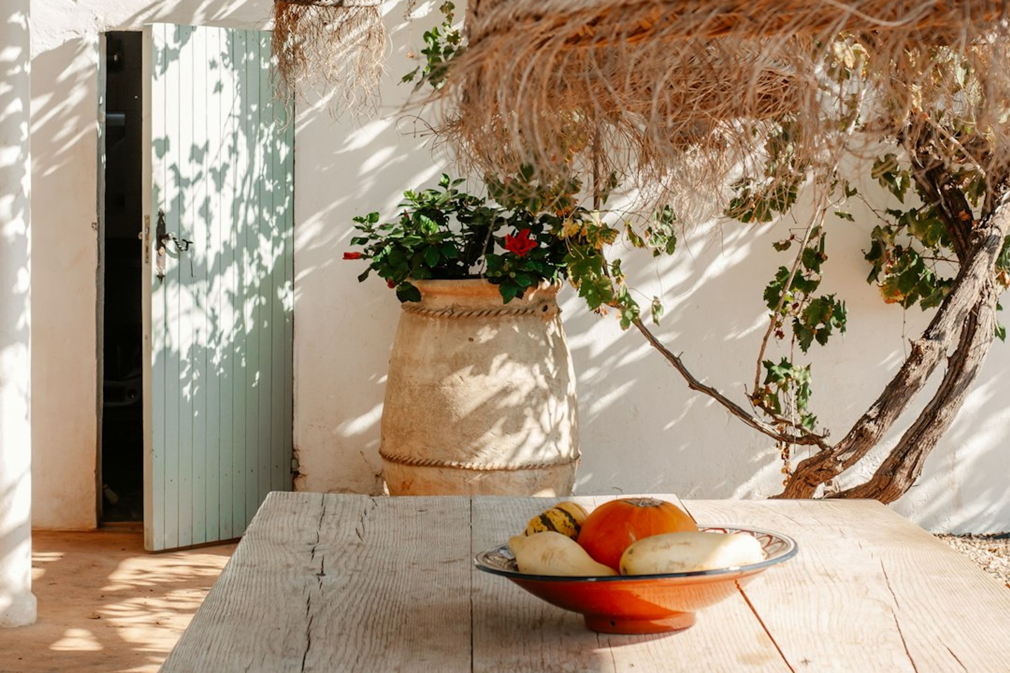 5 Things to Do in Ibiza on a Small Budget