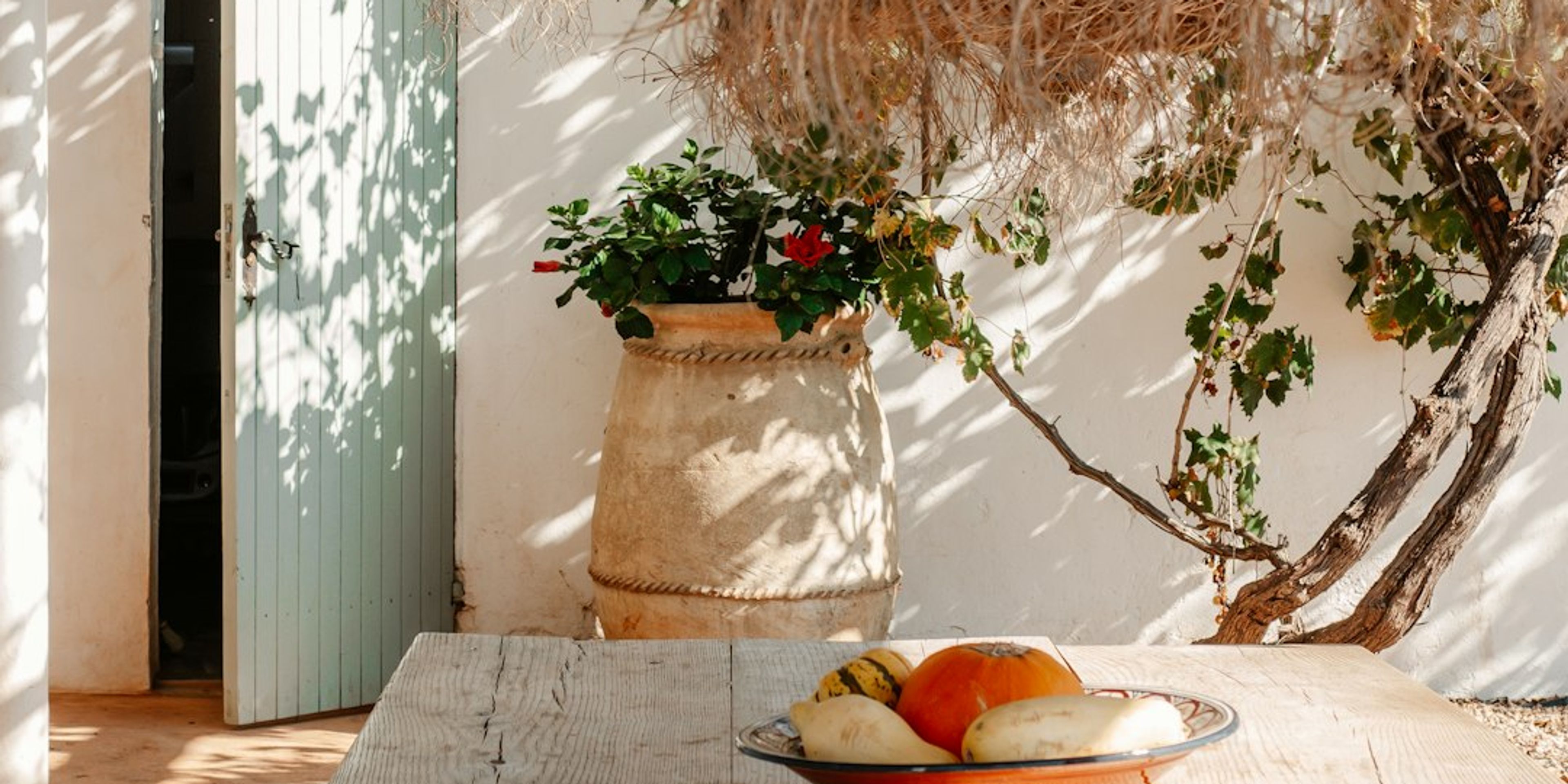 5 Things to Do in Ibiza on a Small Budget