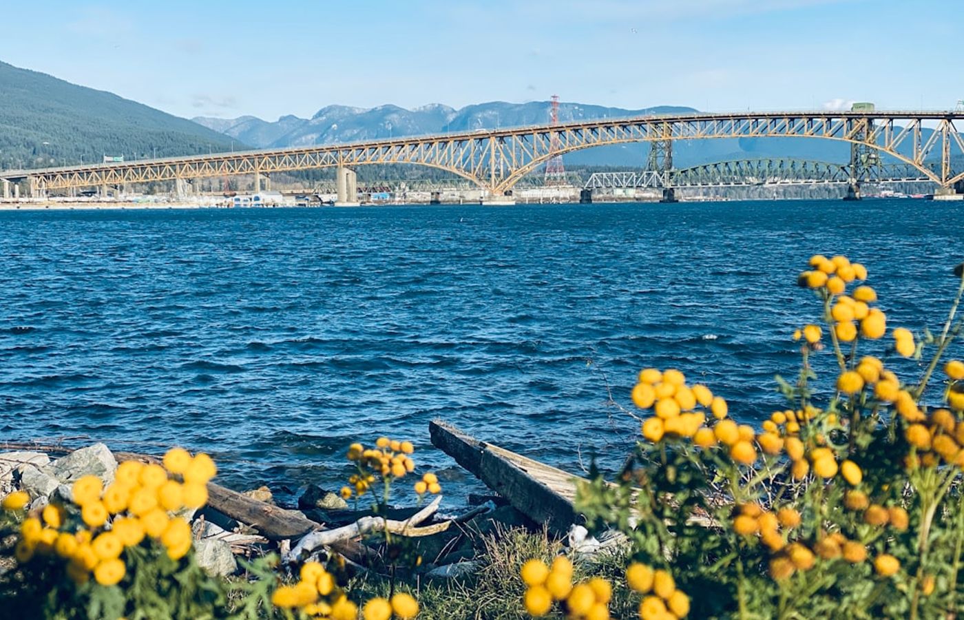 Mount Pleasant East and Main Street - Independent Vancouver on a Budget