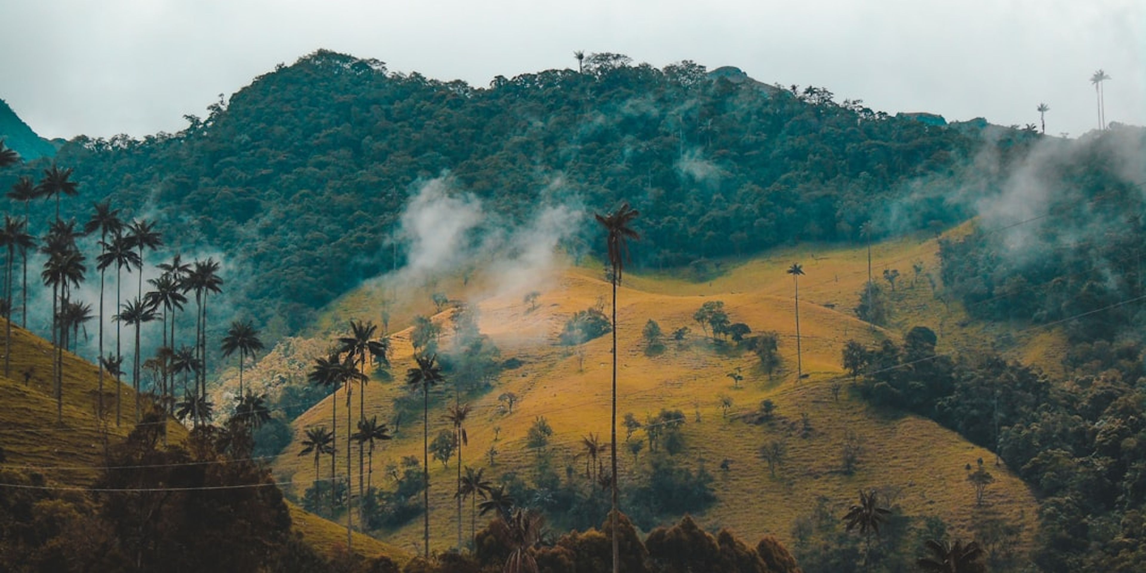 Colombia Travel Guides
