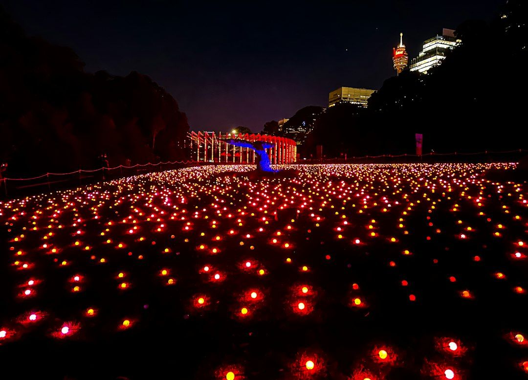 Christmas at the Botanics - The Light Trail at the Royal Botanic Garden