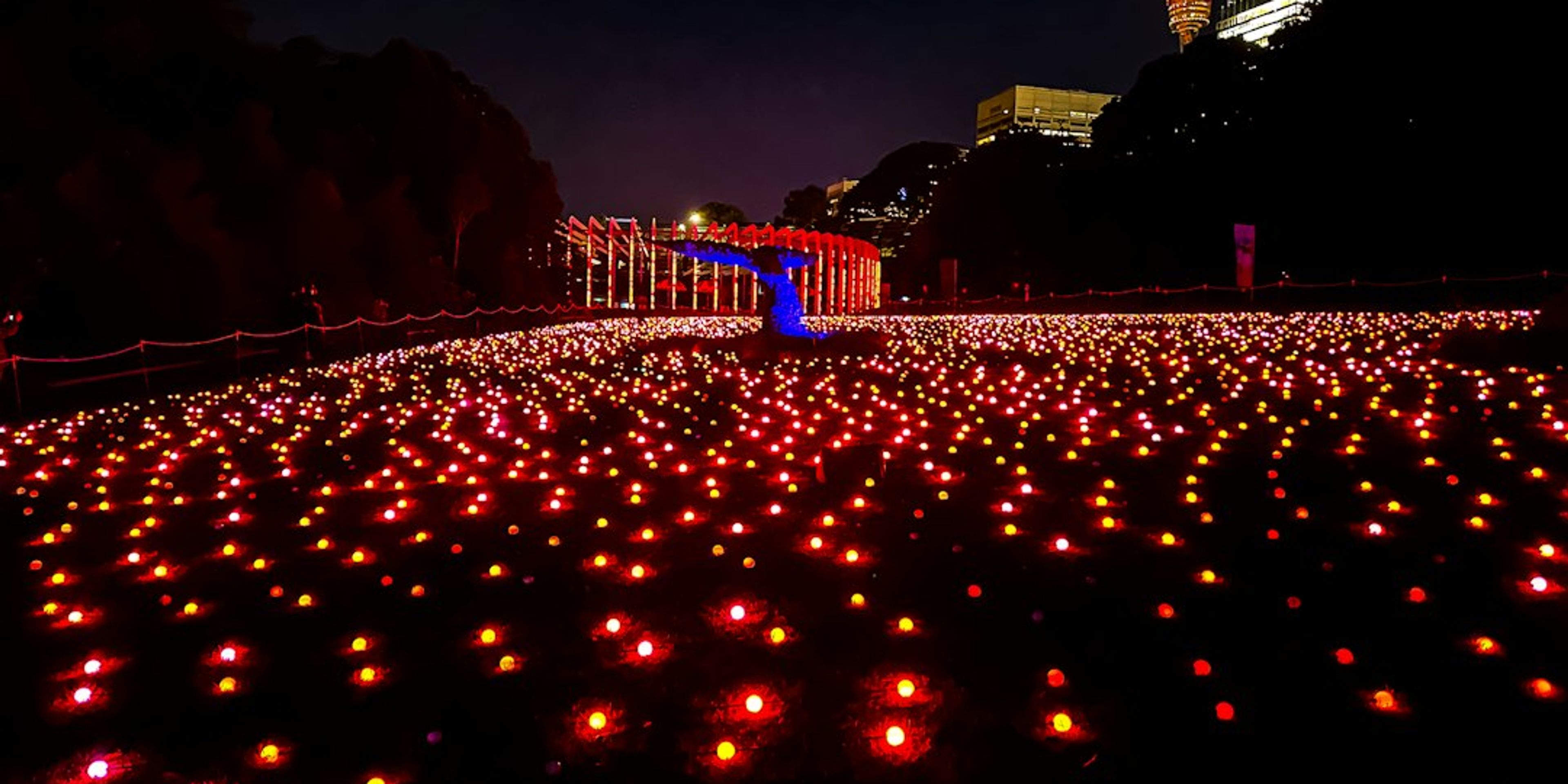 Hotels near Christmas at the Botanics