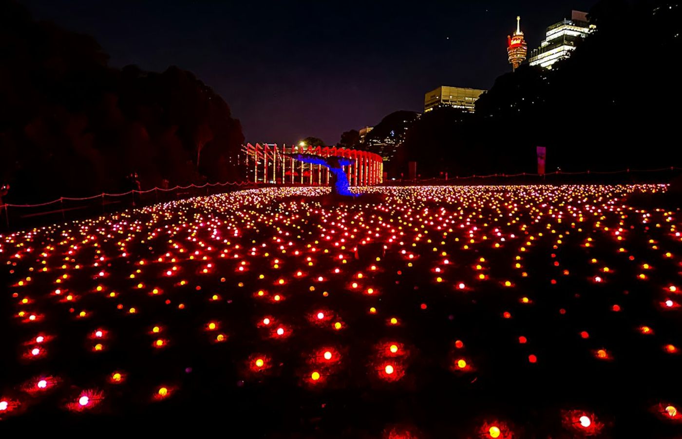 Christmas at the Botanics - The Light Trail at the Royal Botanic Garden