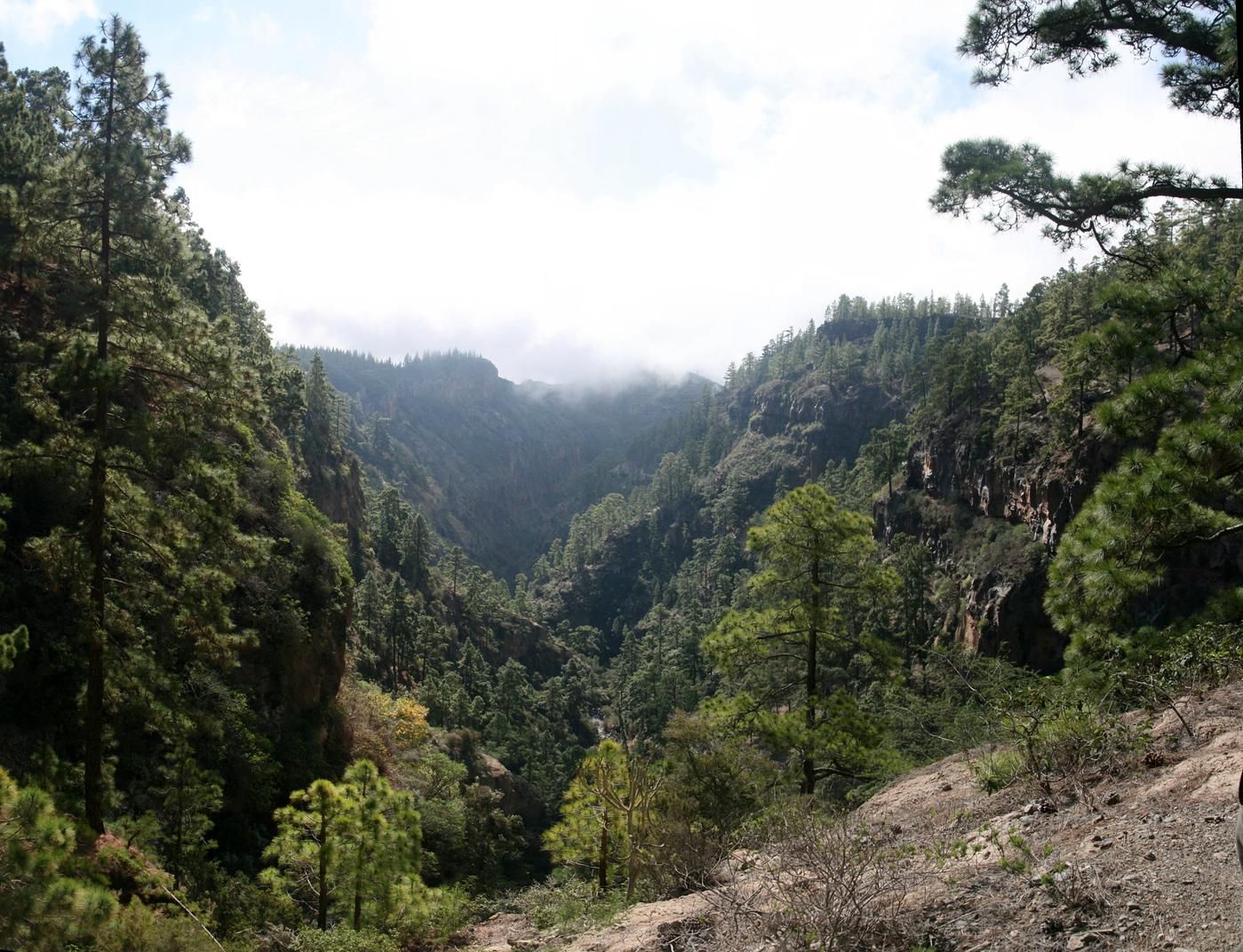 Barranco del Infierno - A Booked Walk to a Southern Waterfall