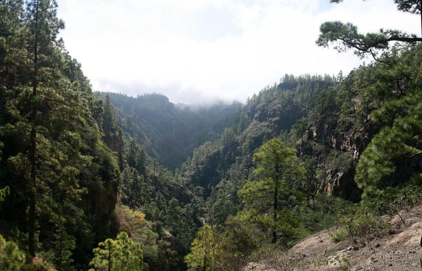 Barranco del Infierno - A Booked Walk to a Southern Waterfall