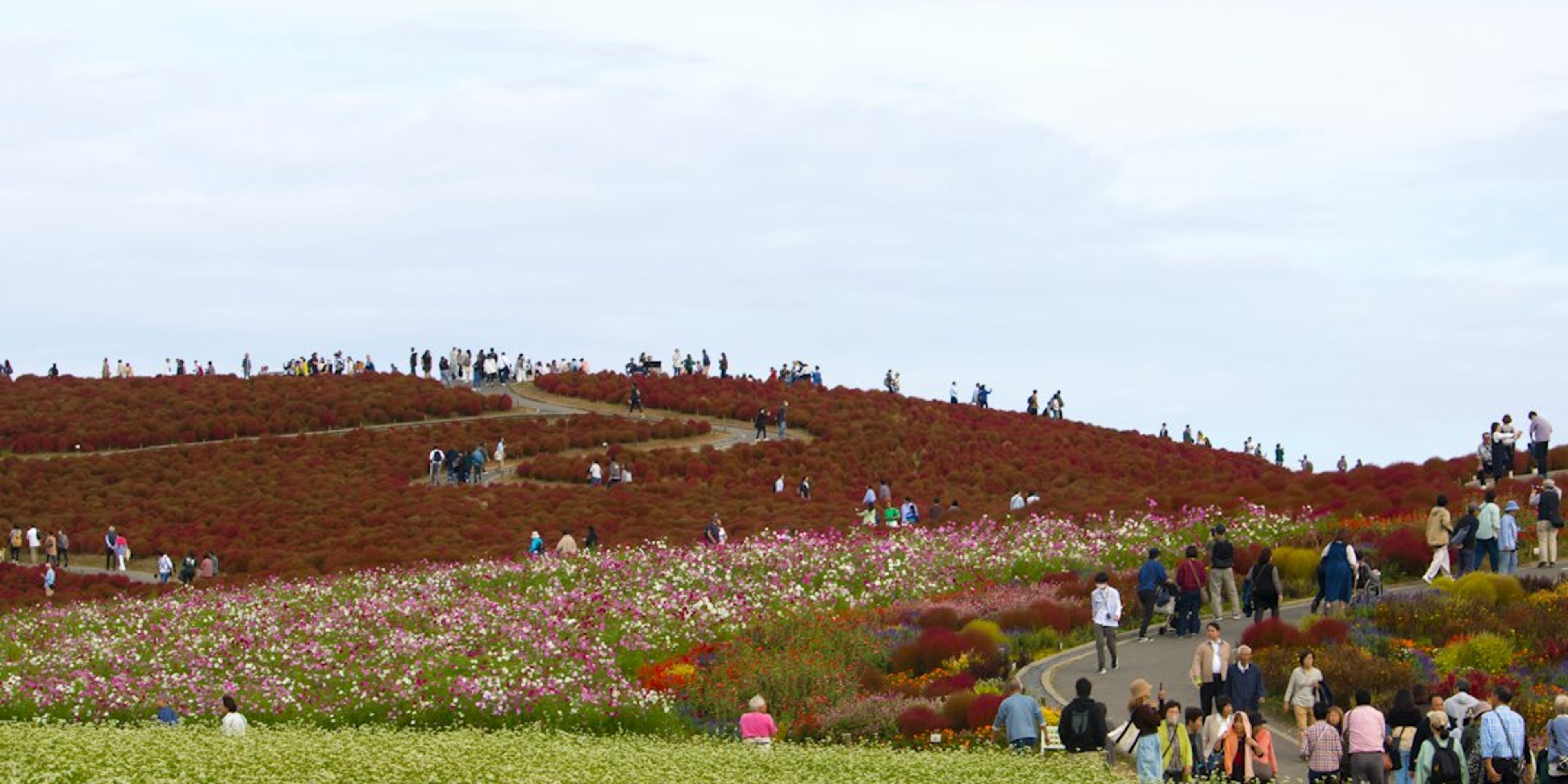 Hotels near Hitachi Seaside Park