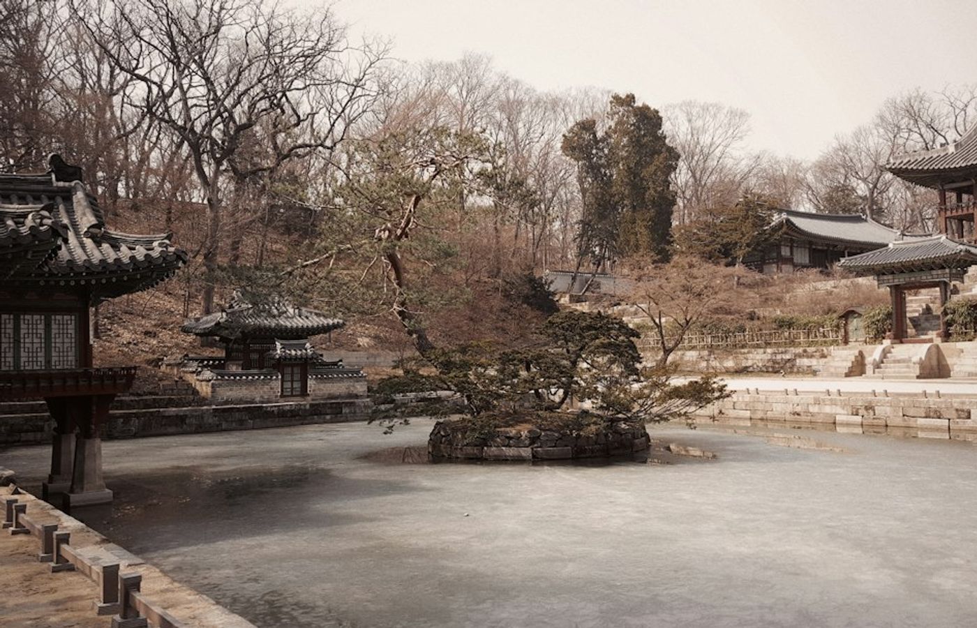 Changdeokgung Secret Garden - Maples Around a Royal Pond