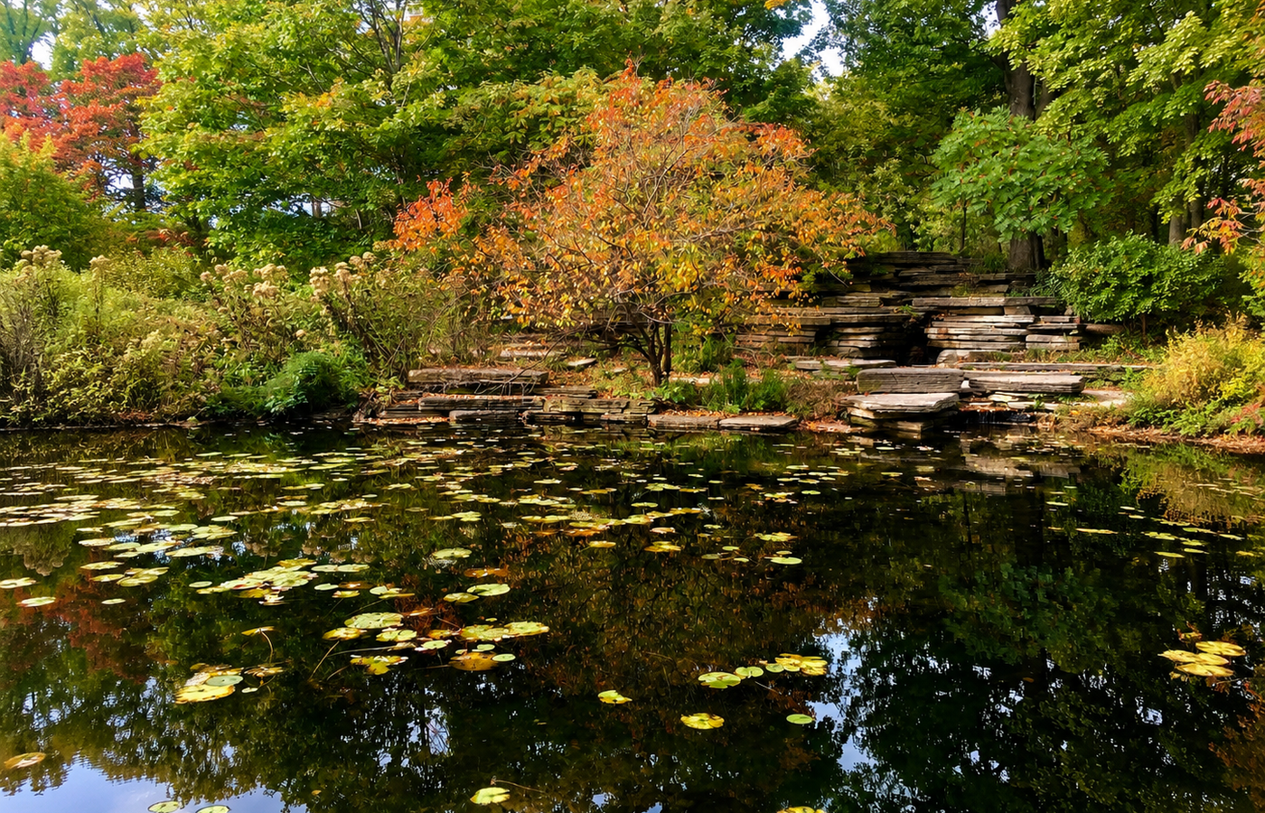 The Alfred Caldwell Lily Pool - Three Acres Nobody Finds