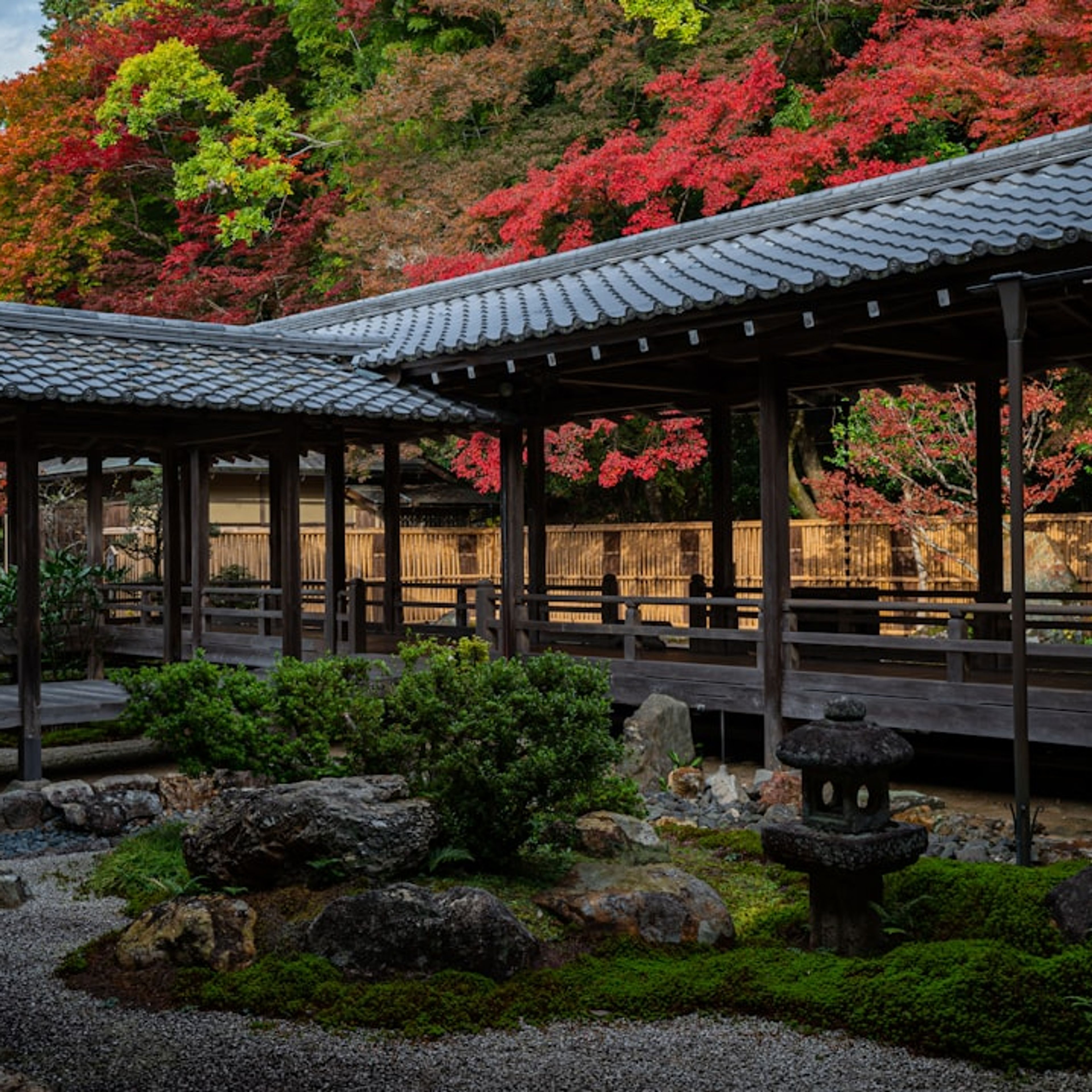 10 Best Places to See Autumn Leaves in Kyoto