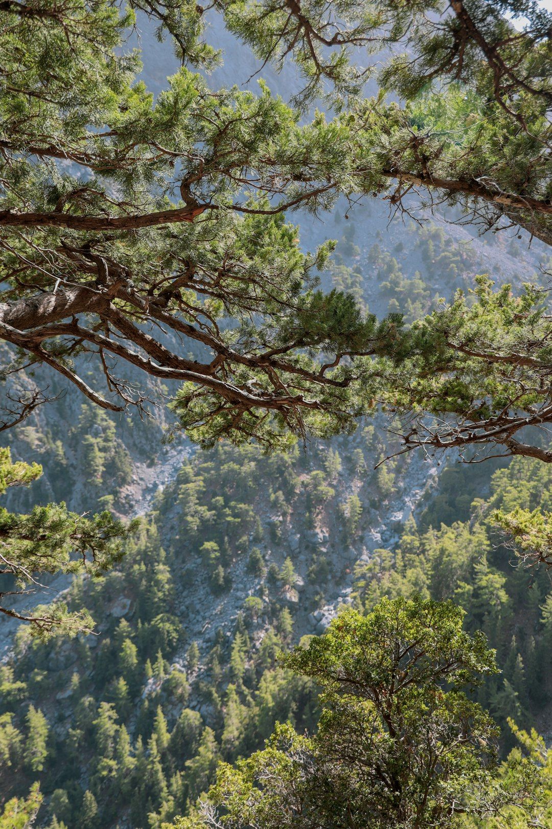 Samaria Gorge