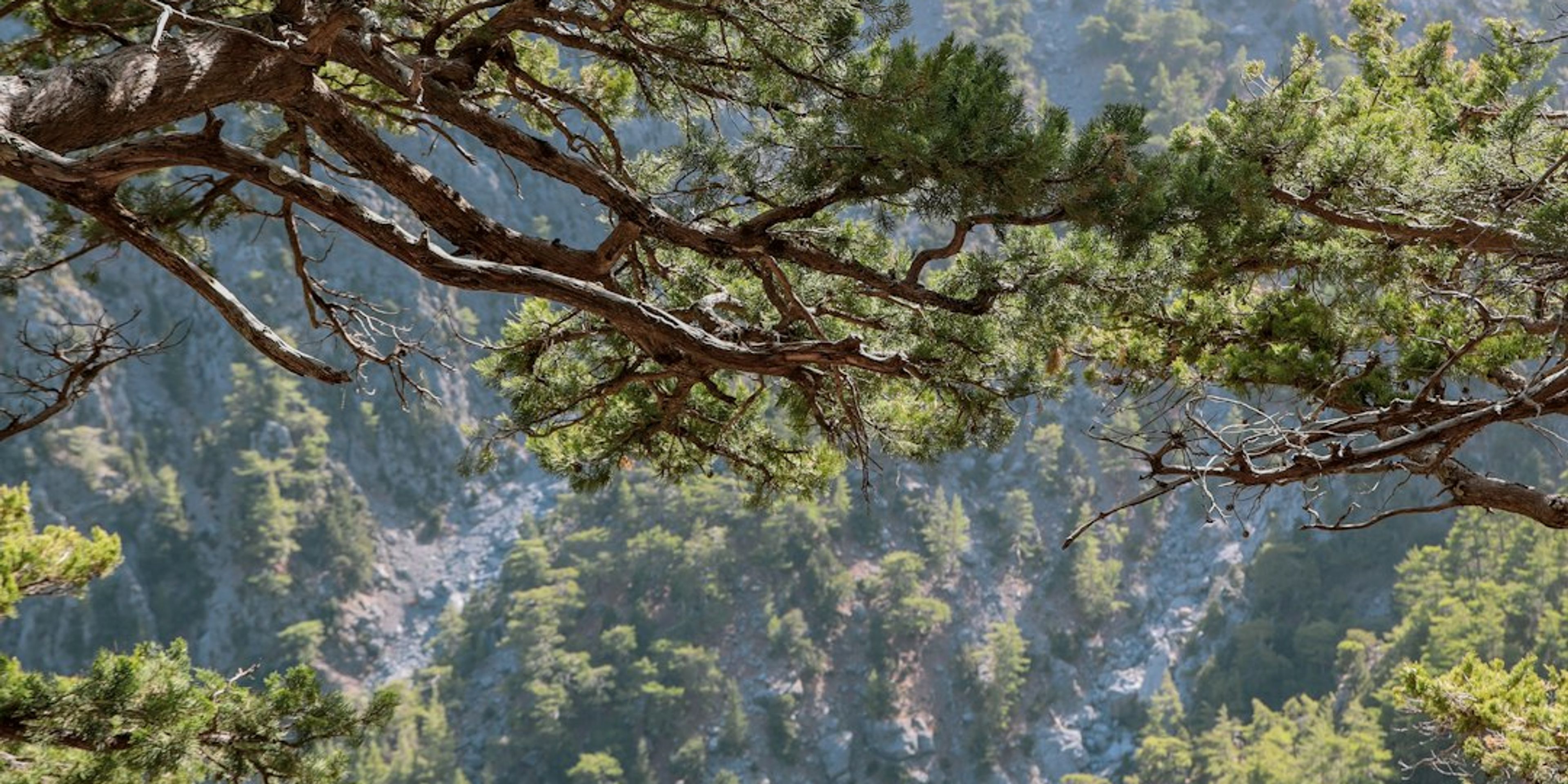 Hotels near Samaria Gorge