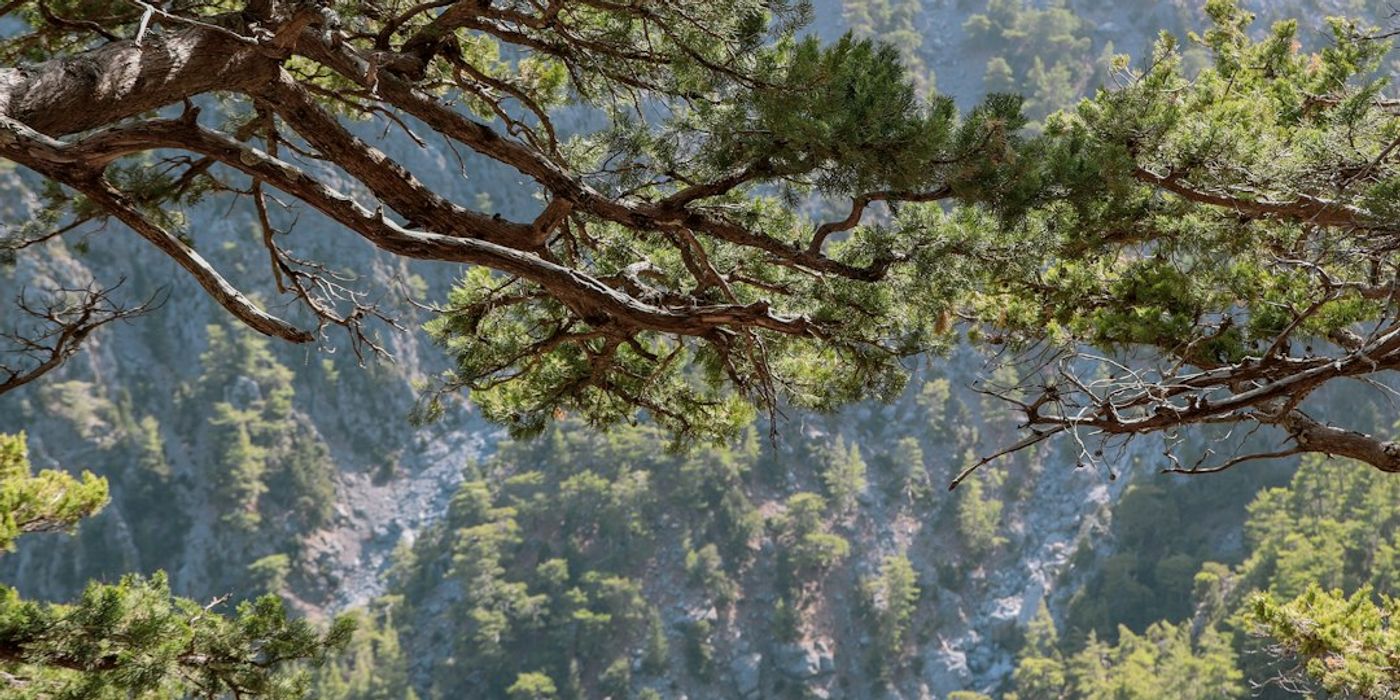 Hotels near Samaria Gorge