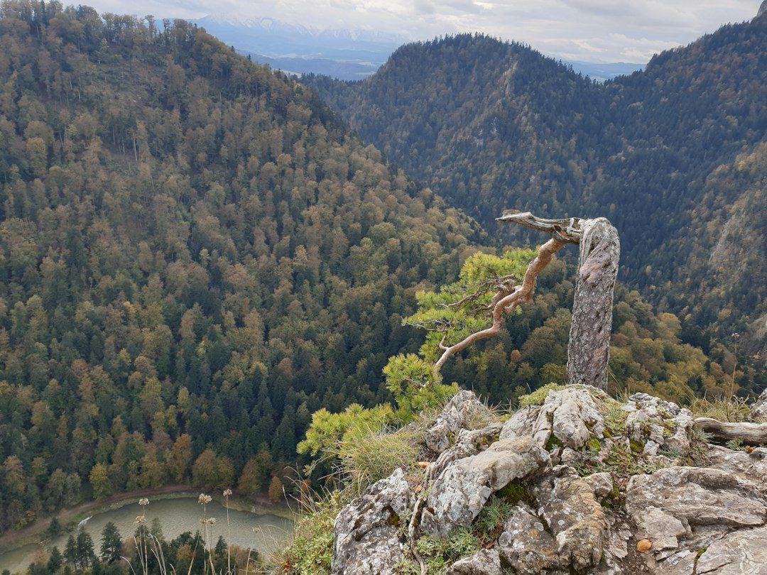 Pieniński Park Narodowy - Limestone Crowns Above the Dunajec Gorge