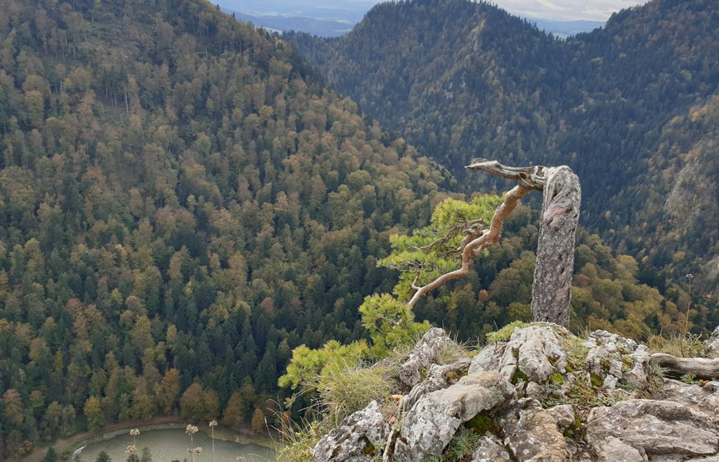 Pieniński Park Narodowy - Limestone Crowns Above the Dunajec Gorge