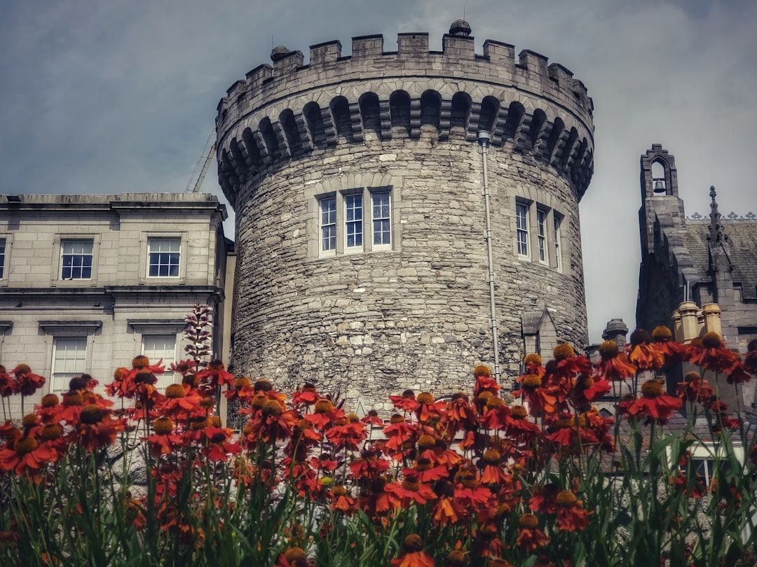 Dublin Castle - From Viking Fort to State Reception Hall