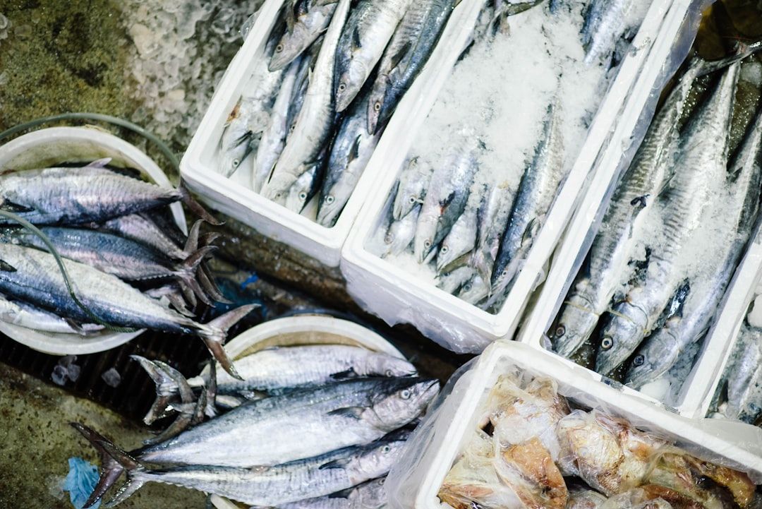 Fethiye Fish Market + Paspatur Bazaar - Buy Your Catch, Have It Cooked Next Door