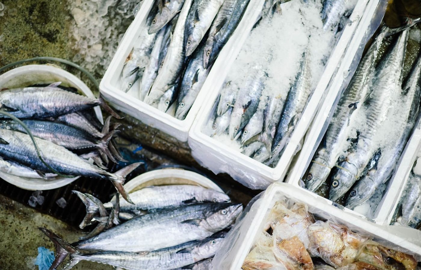 Fethiye Fish Market + Paspatur Bazaar - Buy Your Catch, Have It Cooked Next Door
