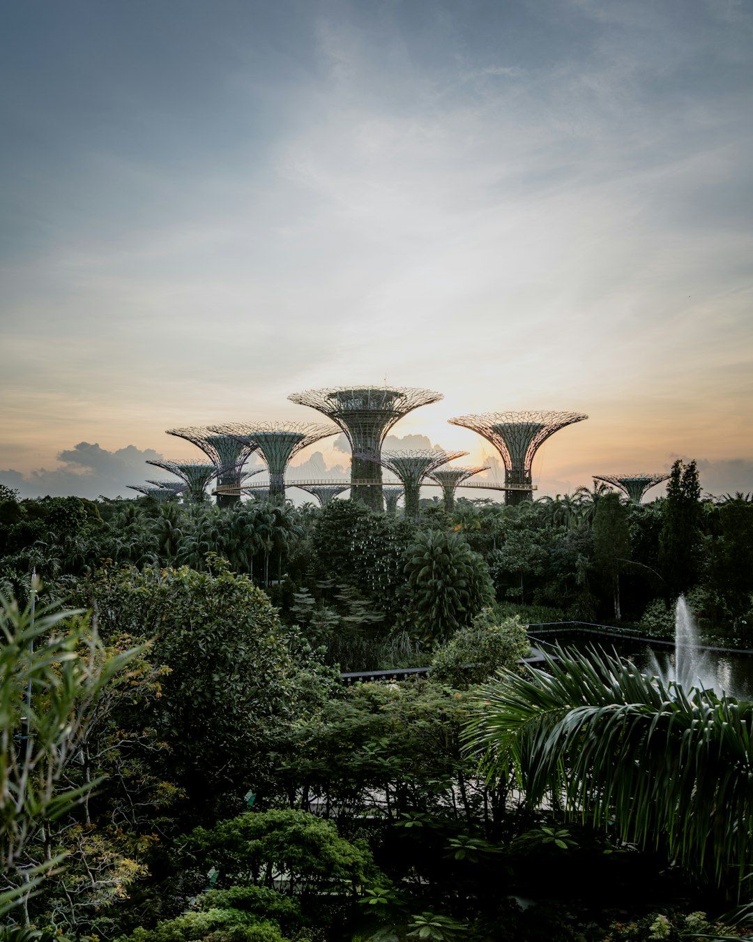 Gardens by the Bay - The Futuristic Botanical Garden