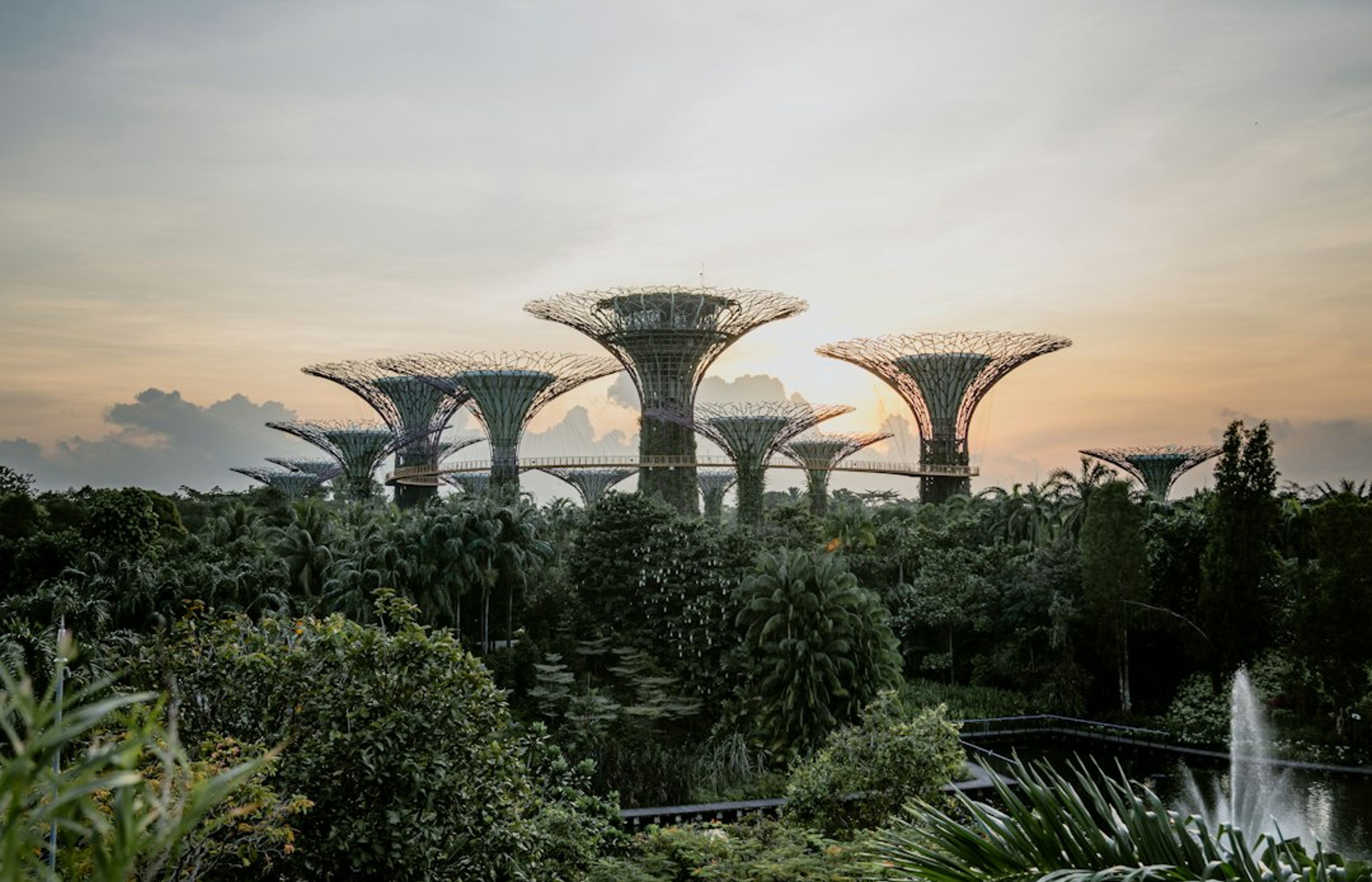 Gardens by the Bay - The Futuristic Botanical Garden