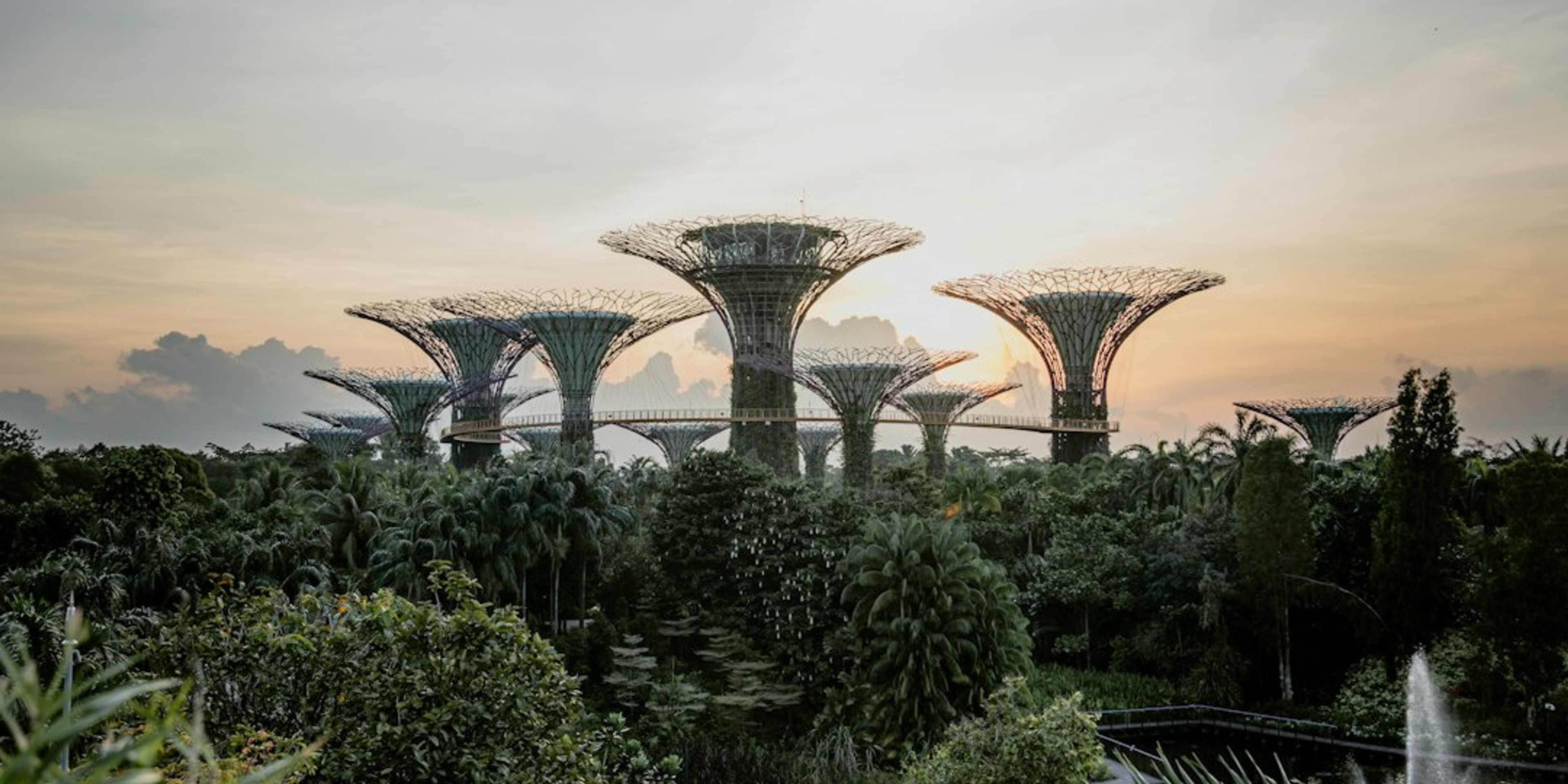 Hotels near Gardens by the Bay