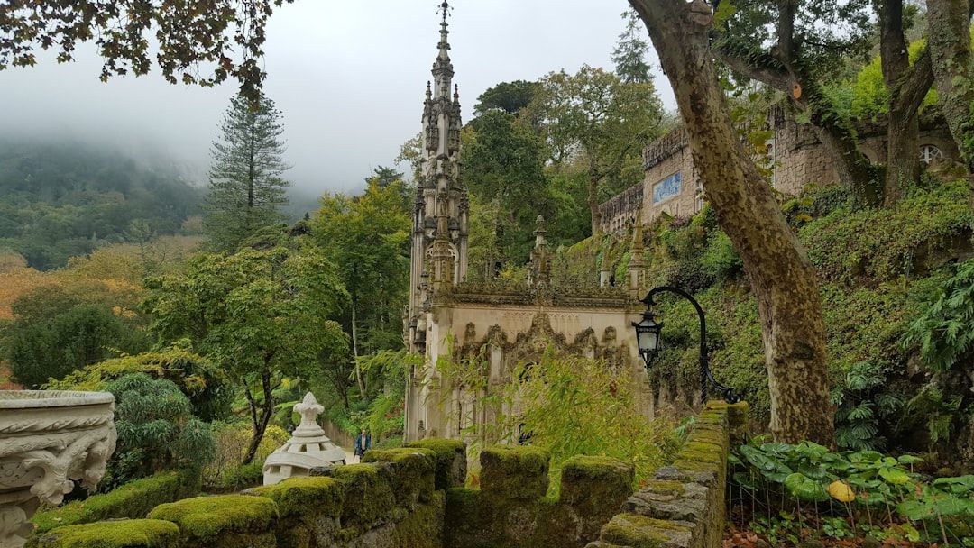 Parque da Pena - 200 Hectares of Imported Forest Below the Palace