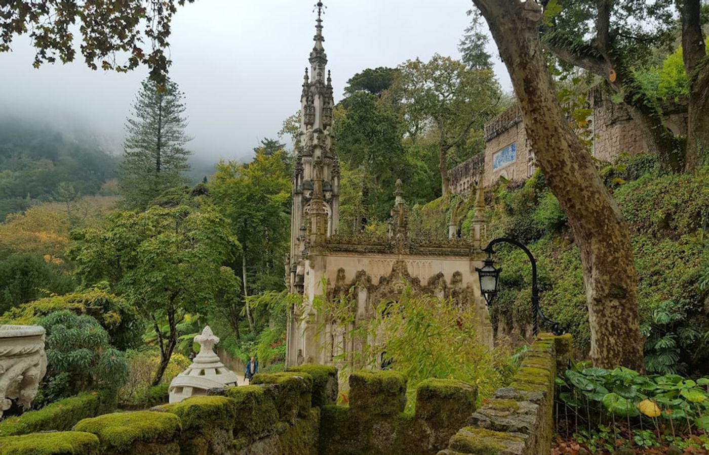 Parque da Pena - 200 Hectares of Imported Forest Below the Palace
